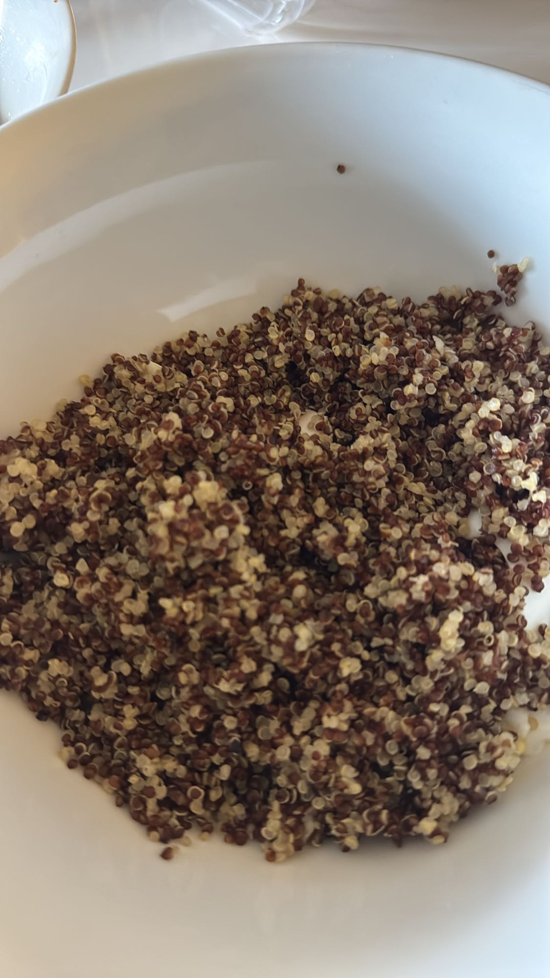 Kokt röd quinoa