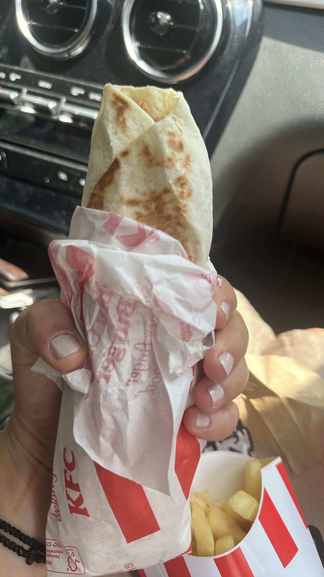Chicken Wrap and Fries