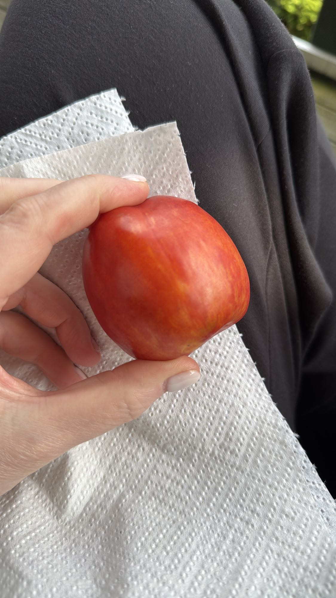 Nectarine