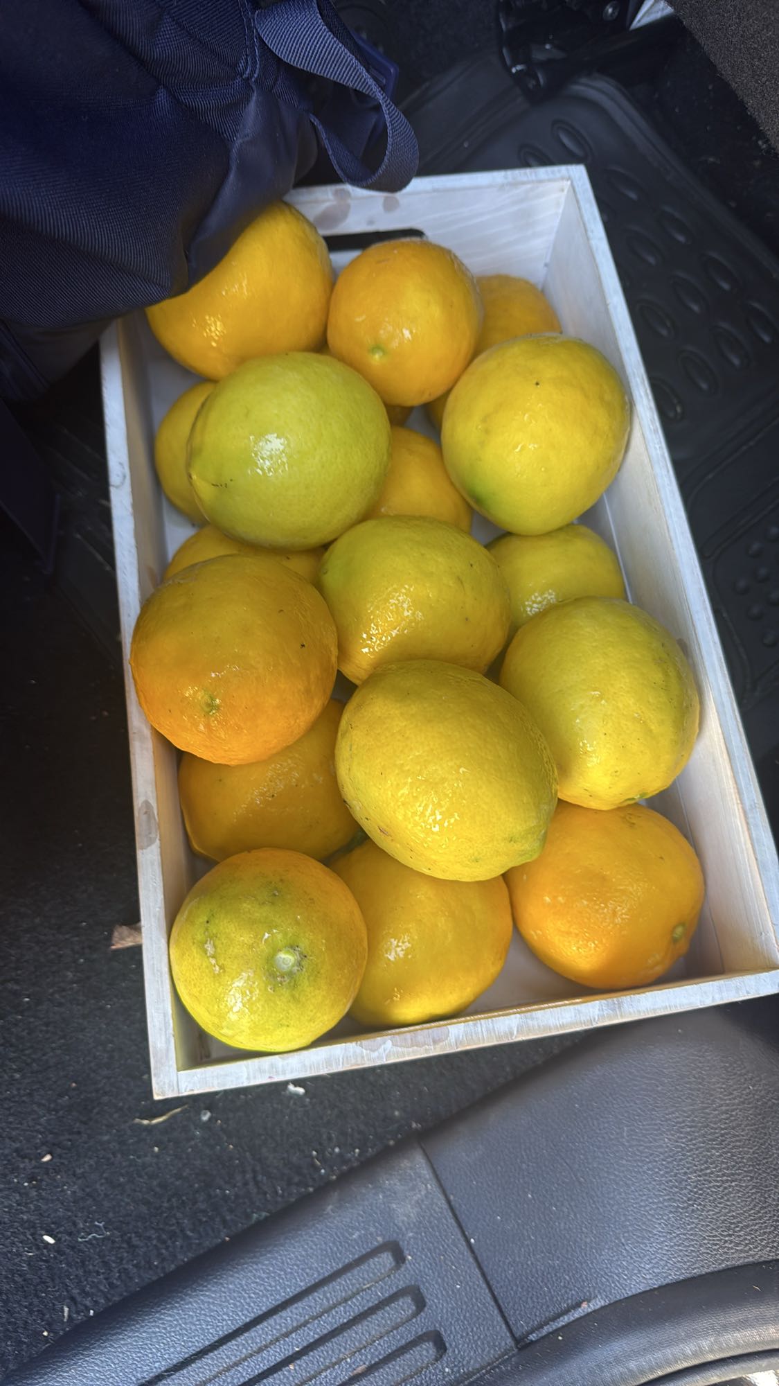 Mixed Citrus Box