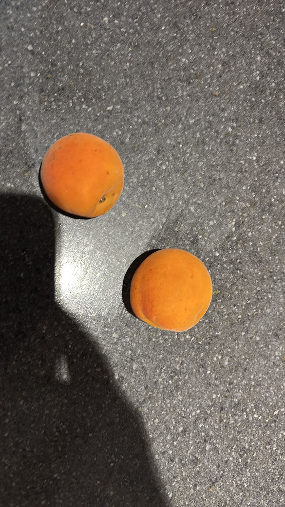 Deux abricots