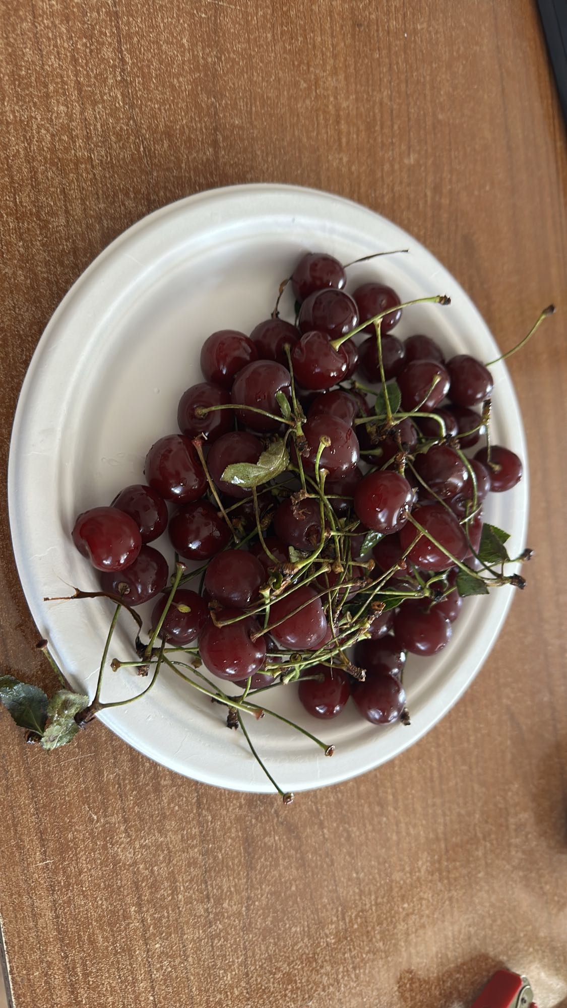 Fresh Cherries