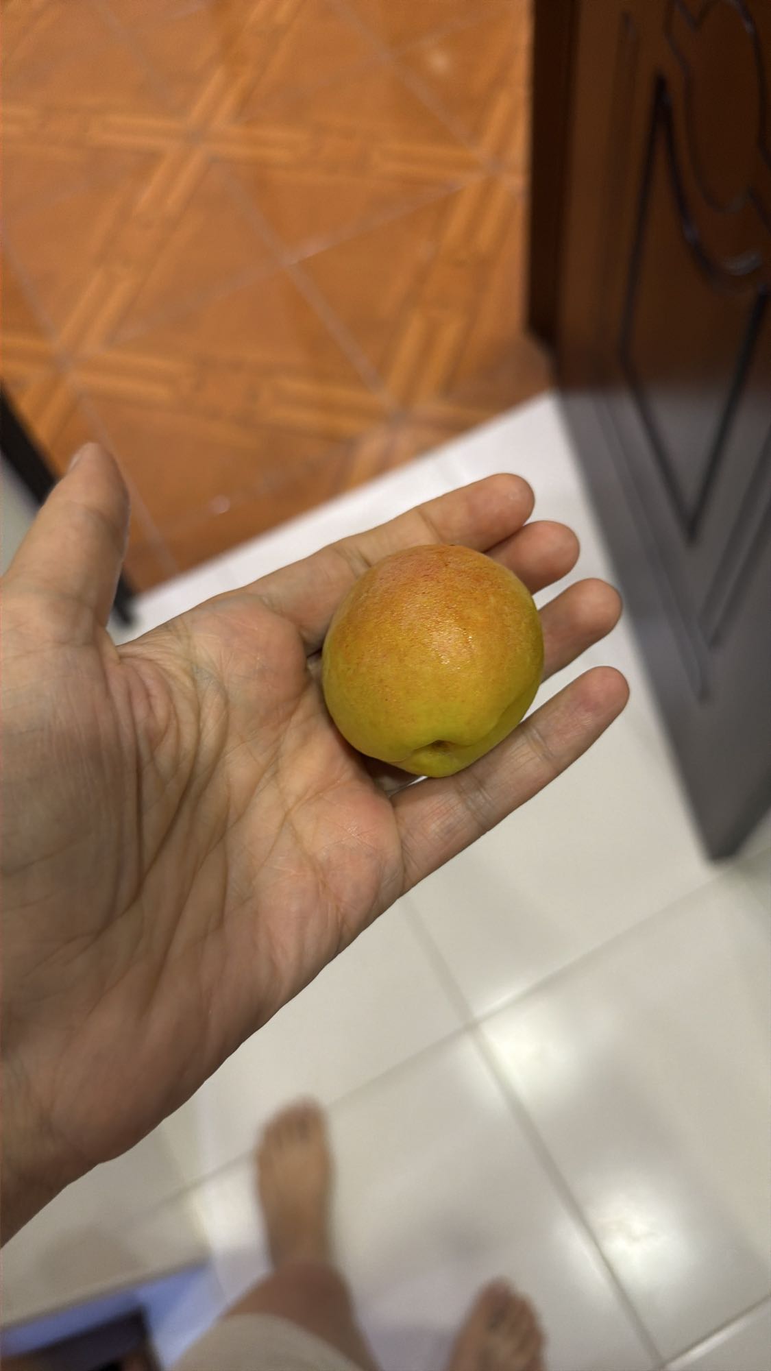 Small Apricot