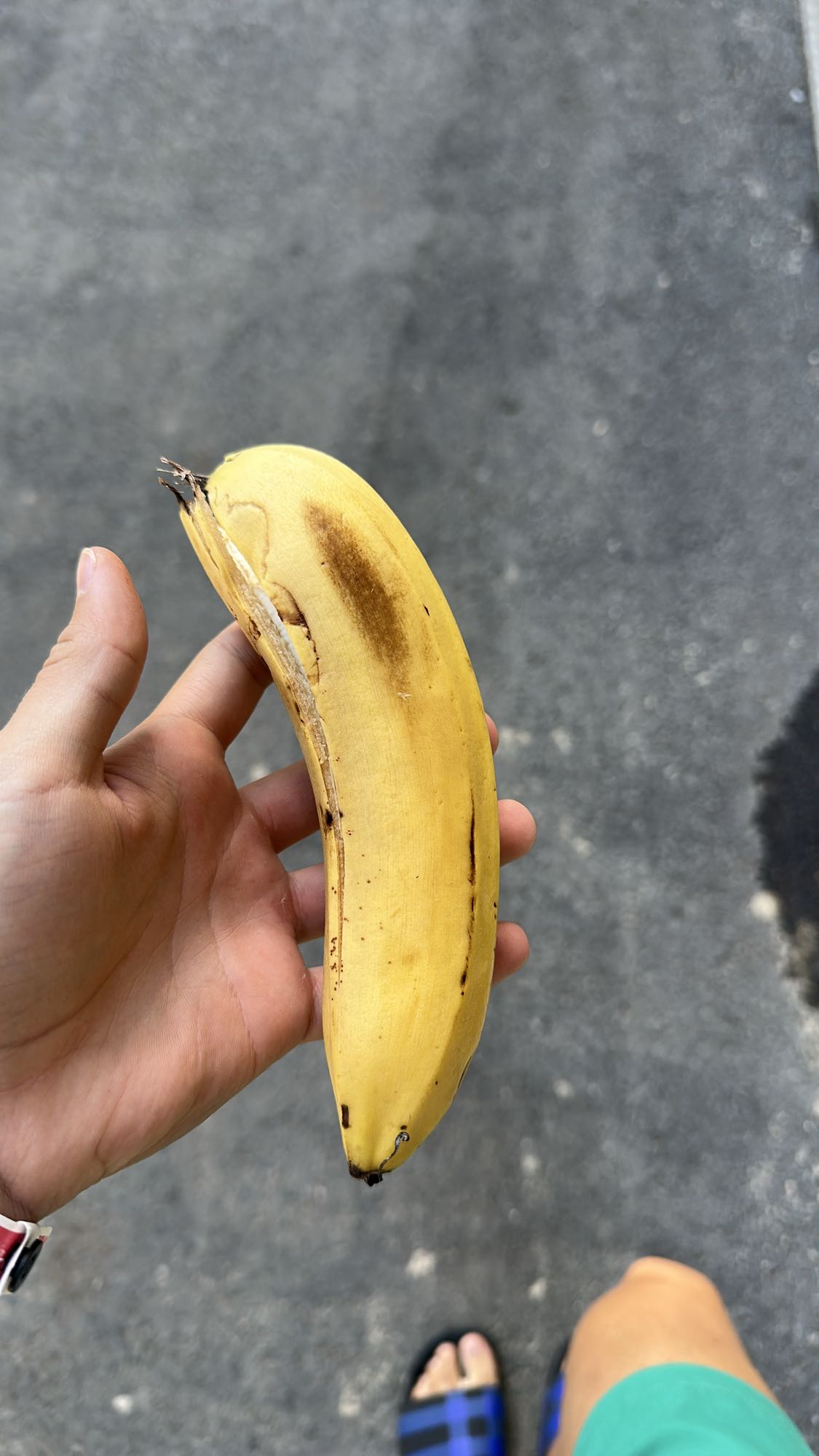 plátano