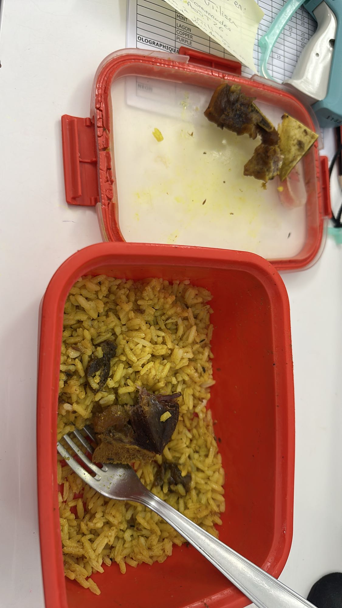 Riz épicé au bœuf