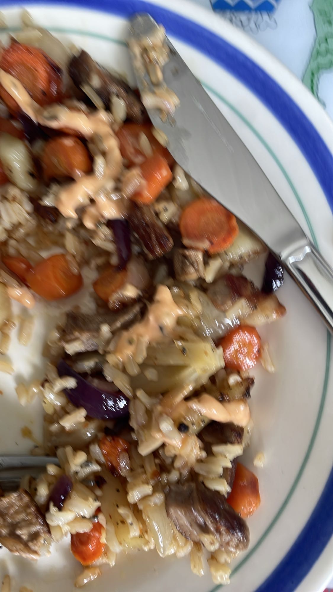 Ris med nötkött och grönsaker
