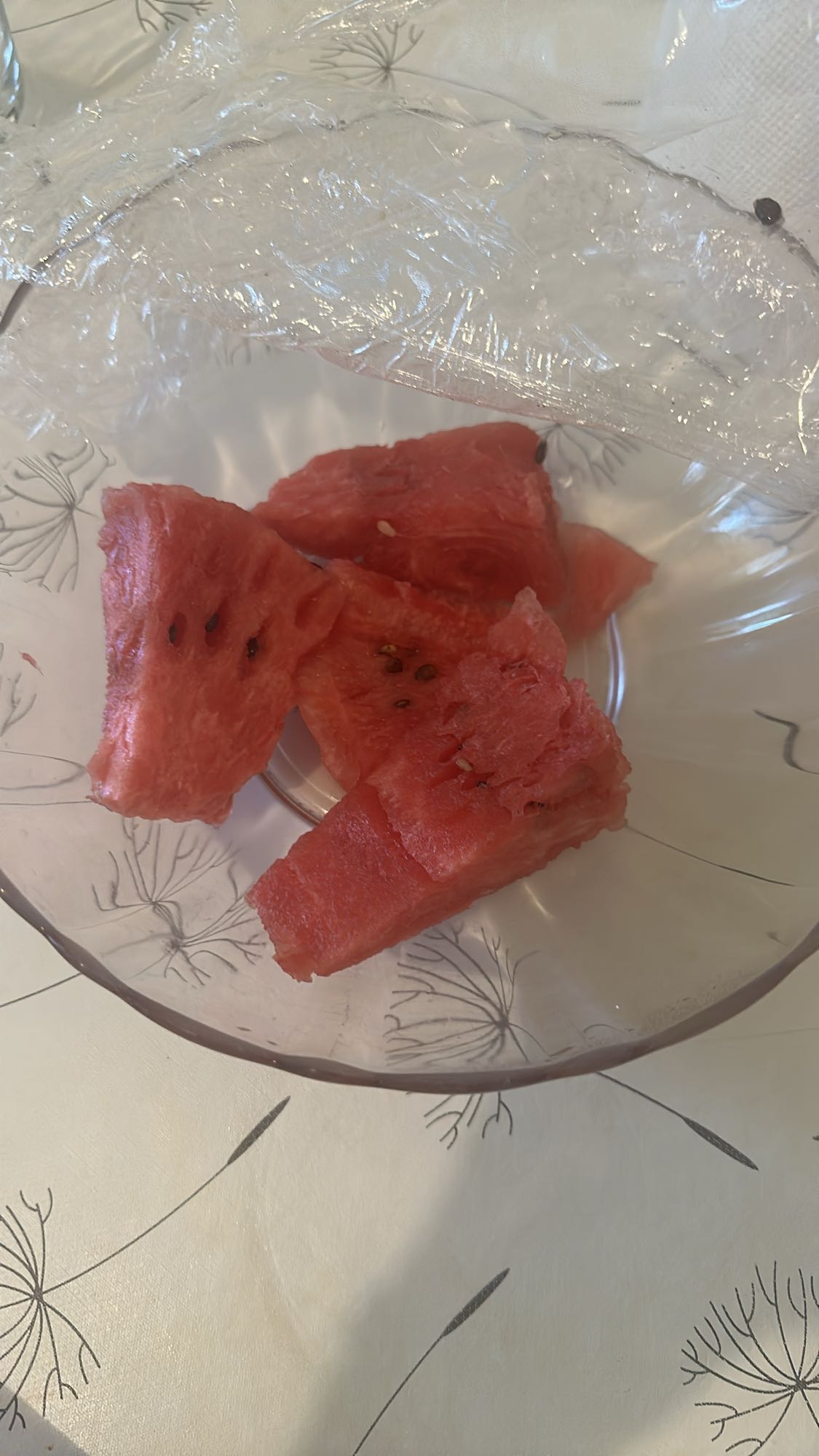 Watermelon Slices