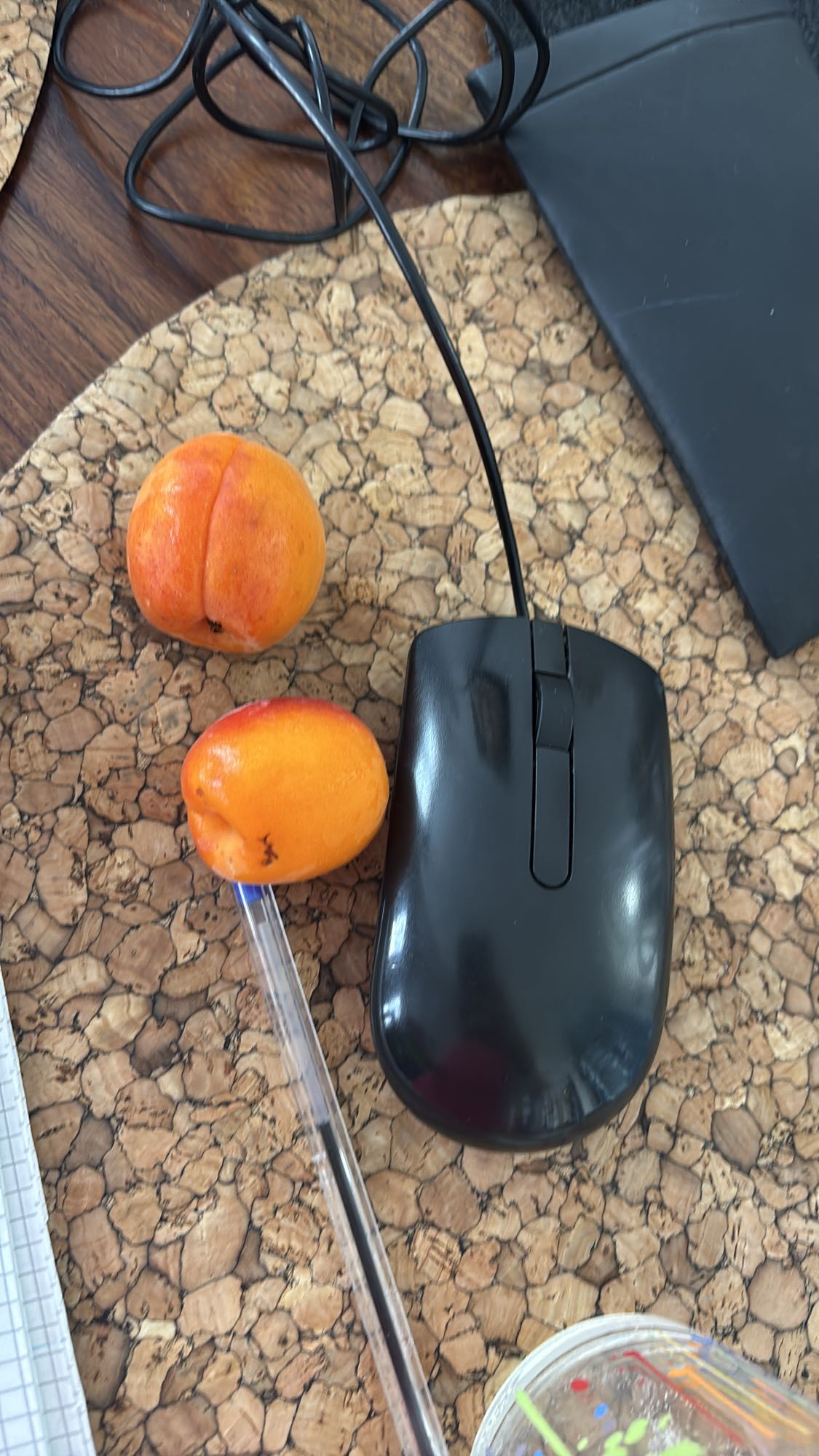 Deux kakis
