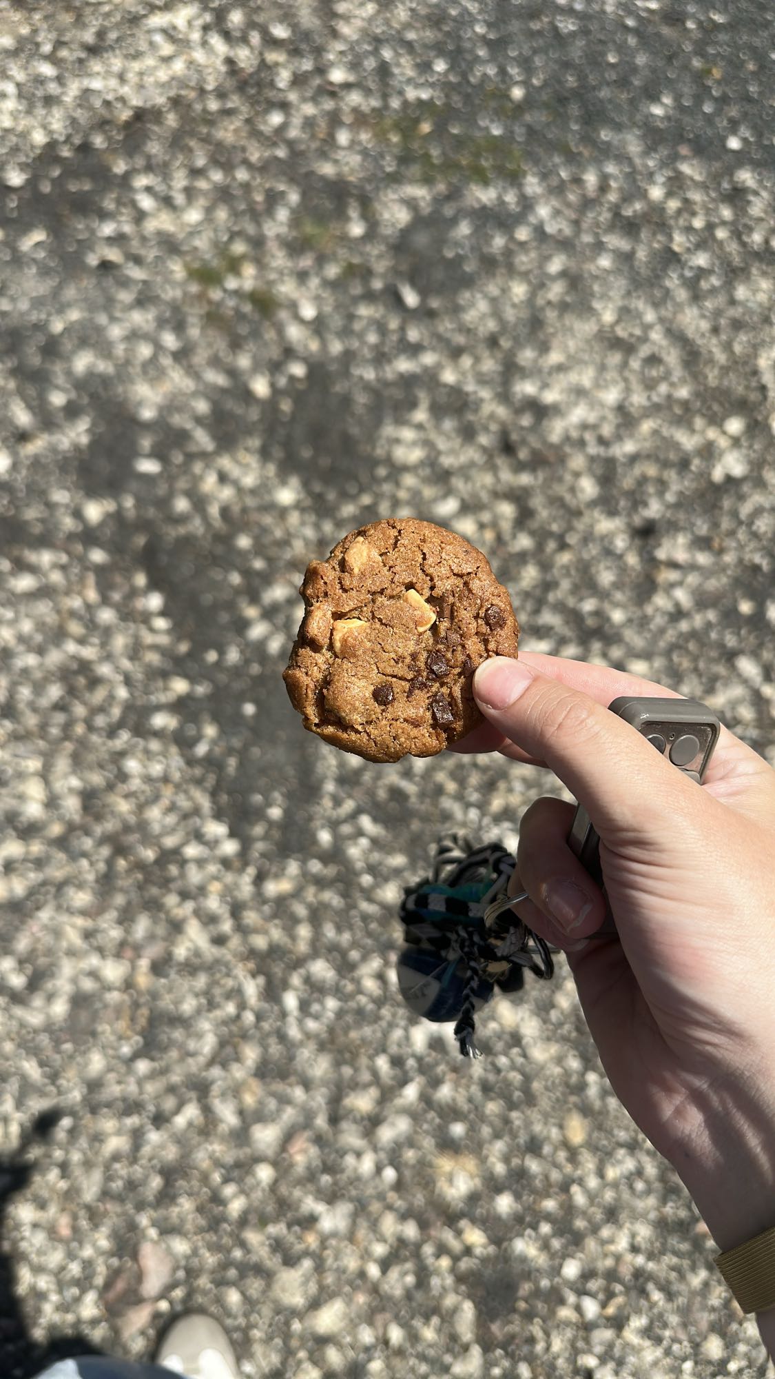 Cookie aux pépites
