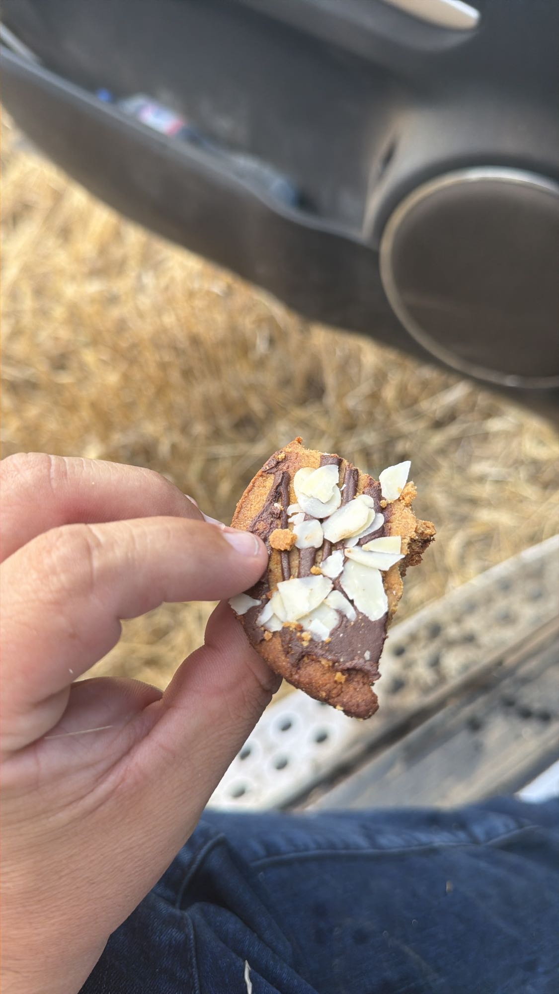 No Sugar Protein Cookie