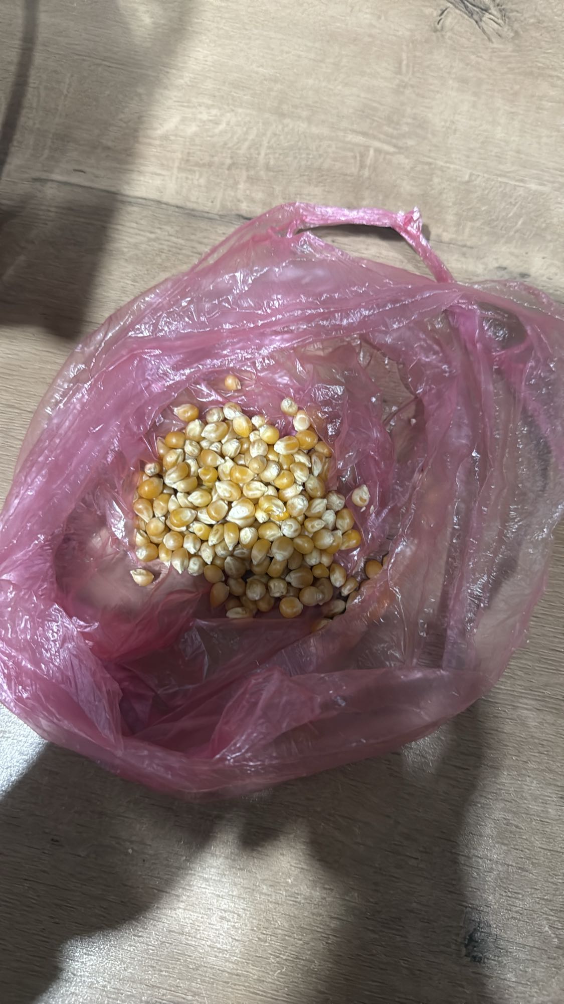 Popcorn Kernels