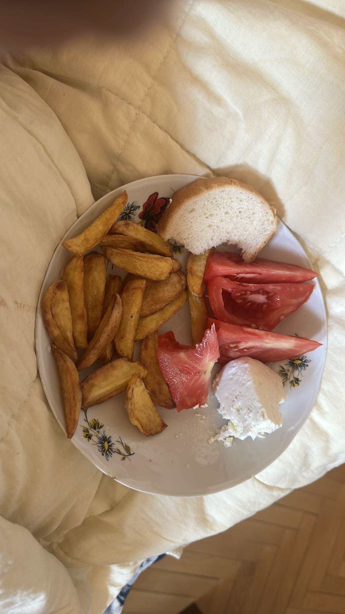 Potato Wedges Plate
