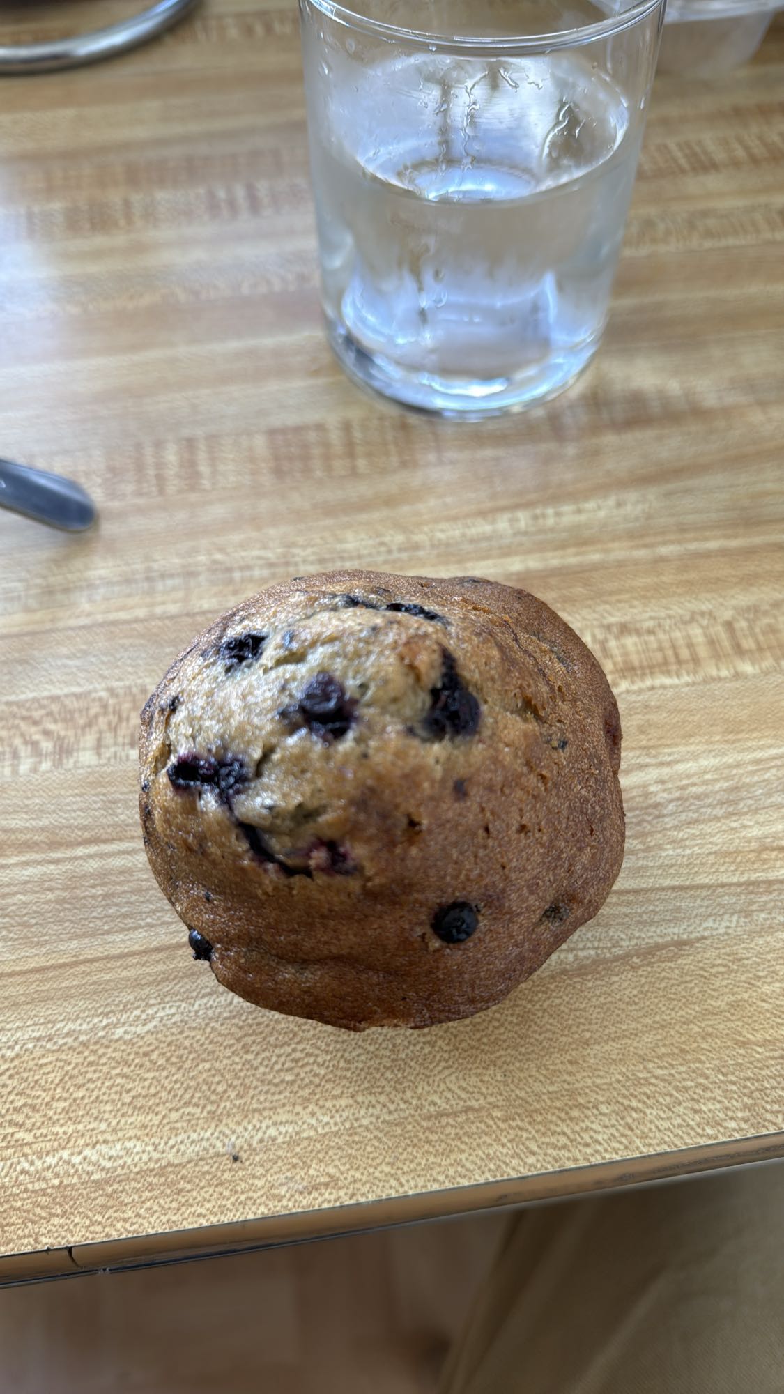 muffin aux myrtilles