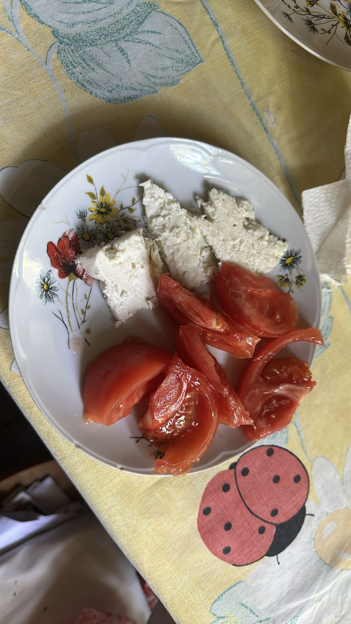 Tomato and White Cheese