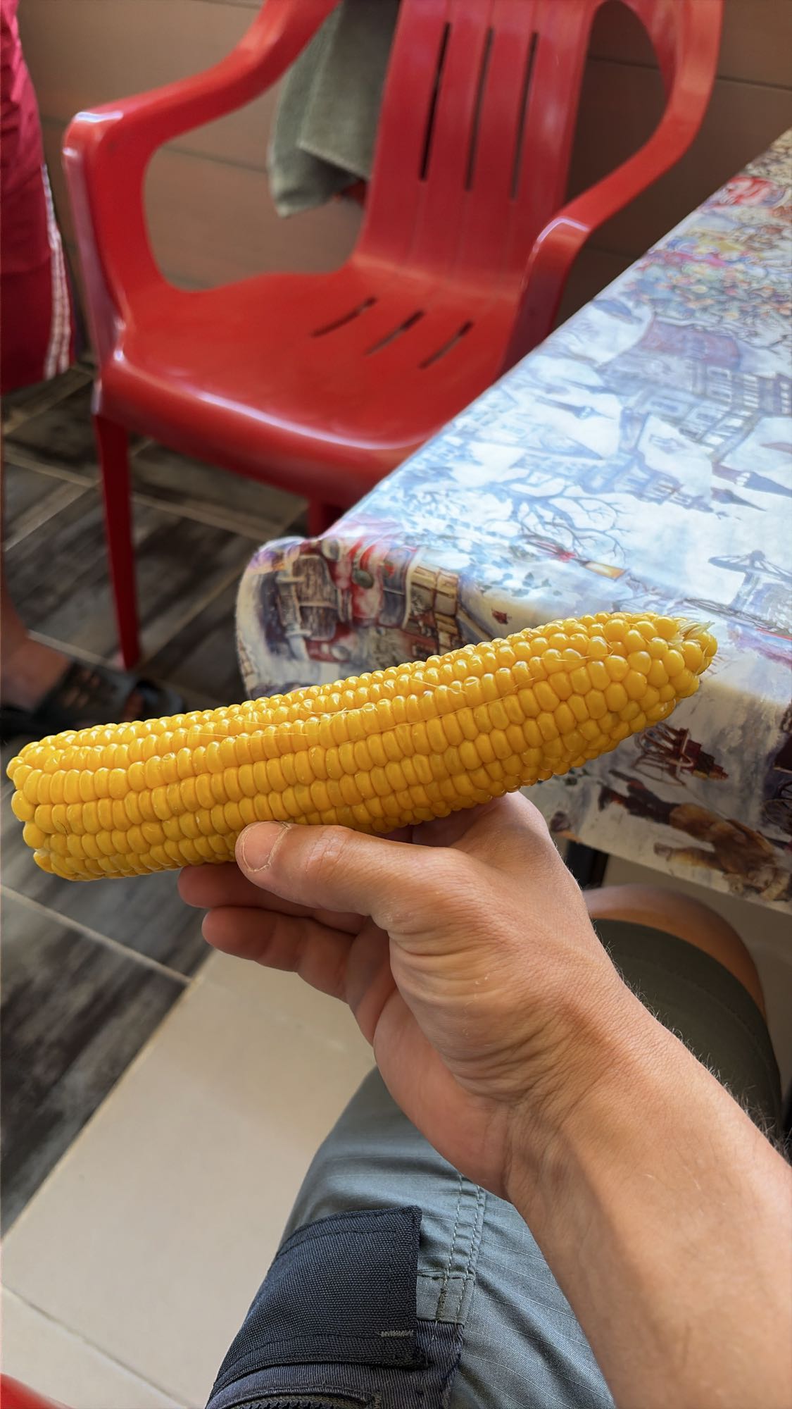 Варена царевица