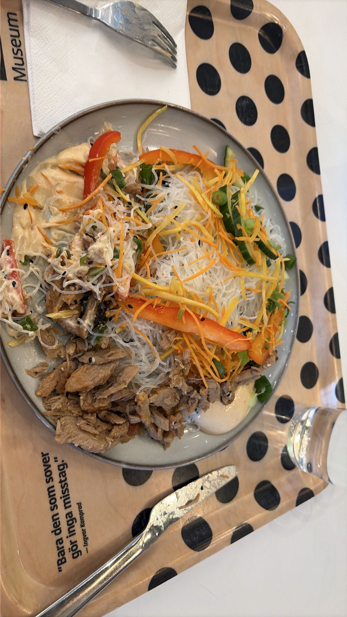 Glasnudelsallad med kött