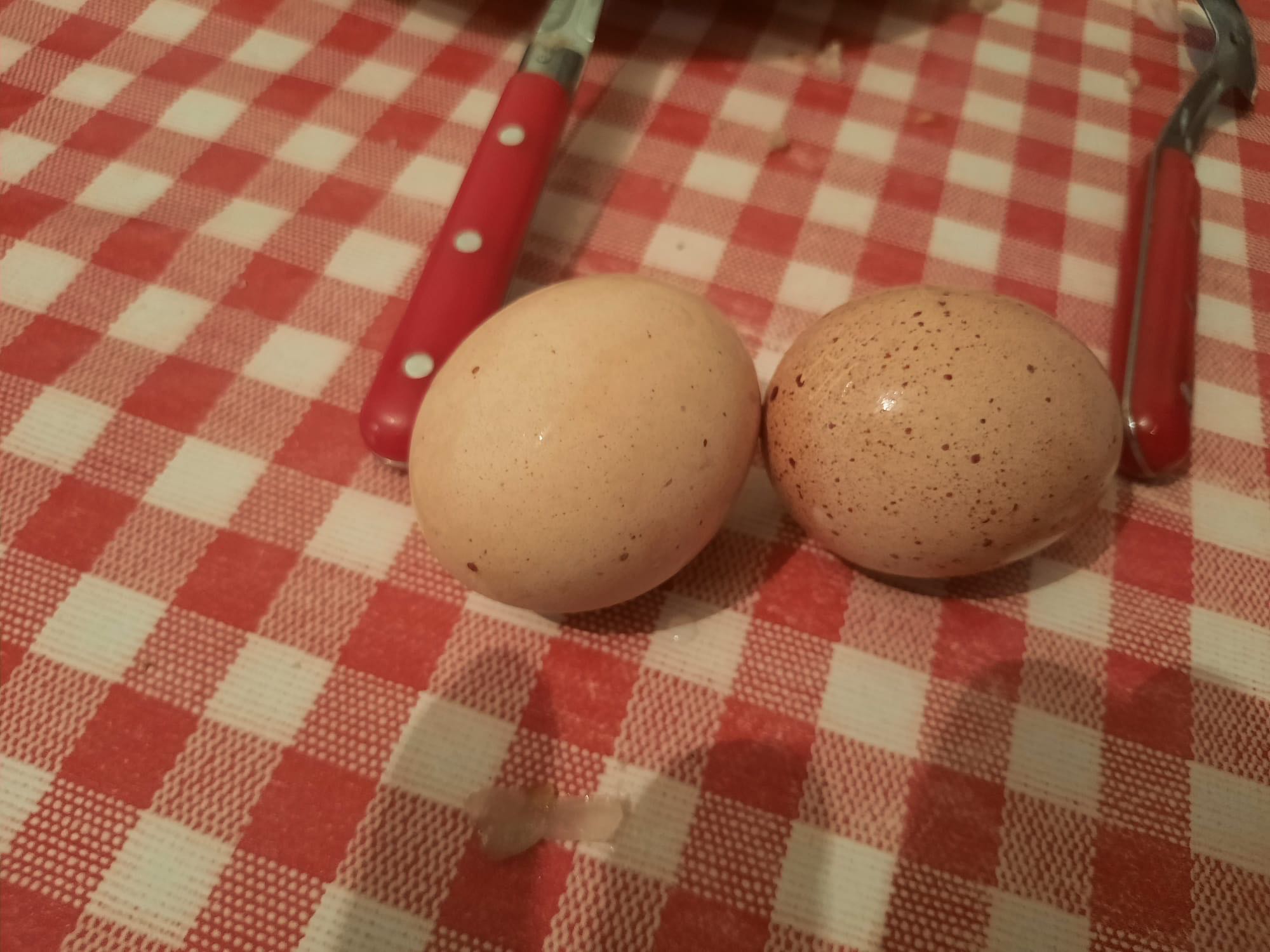 Deux oeufs