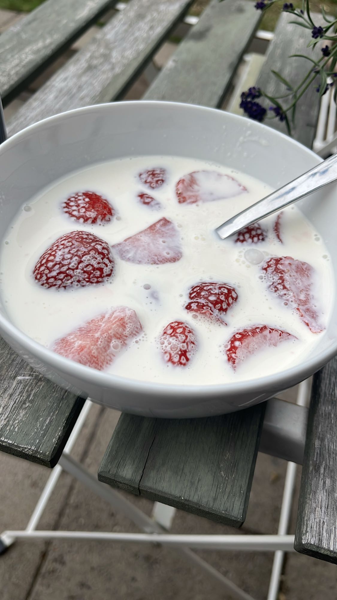 Jordgubbar med mjölk