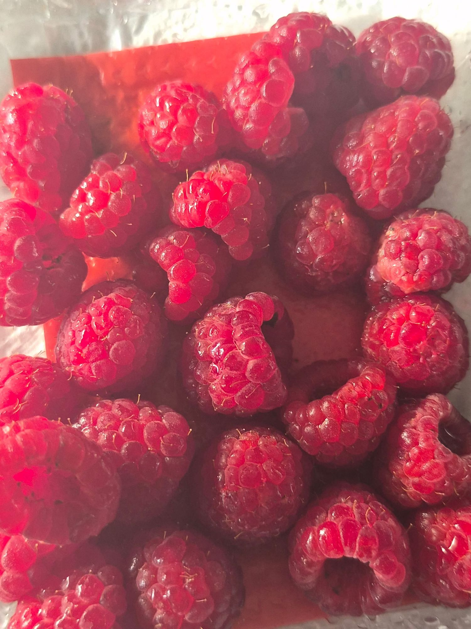 Framboises fraîches