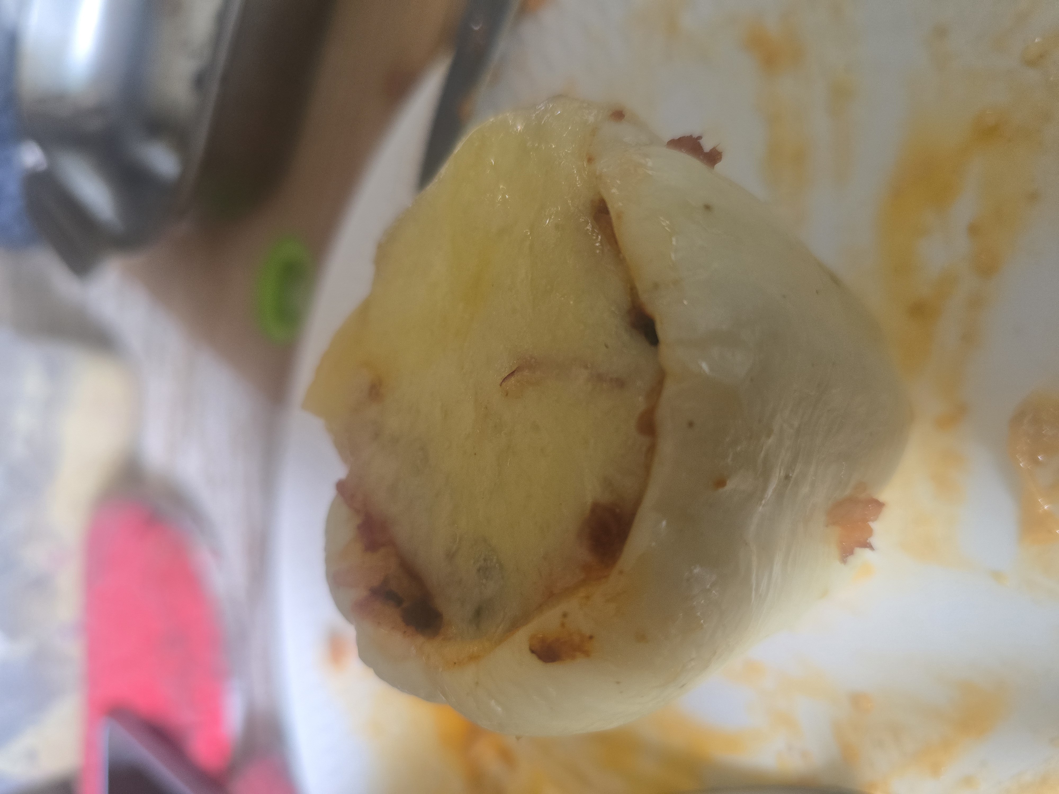 Stuffed Onion