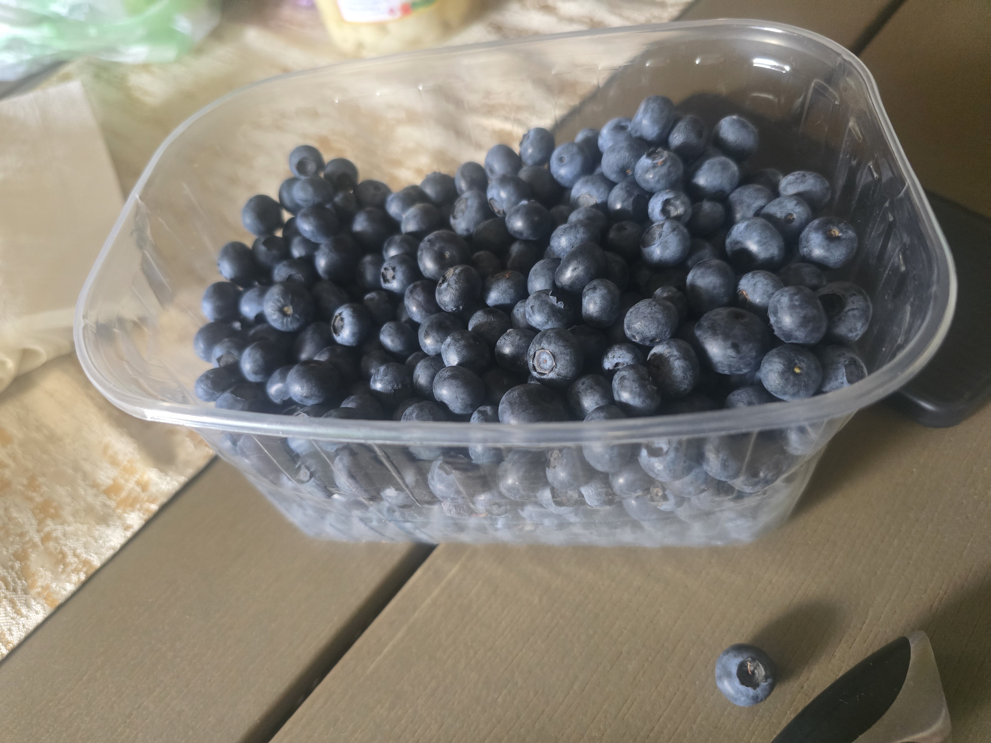 Fresh Blueberries