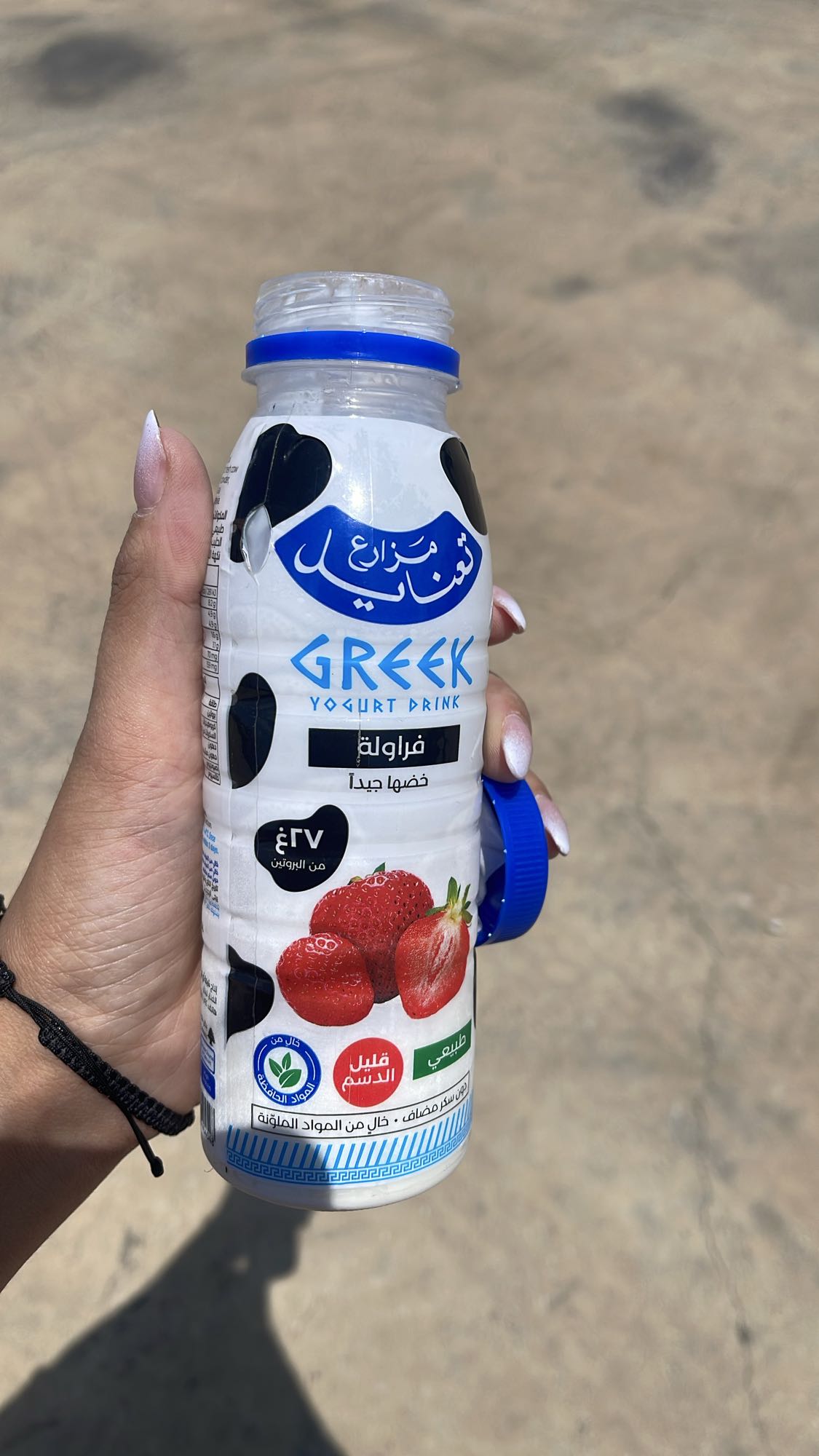 Strawberry Greek Yogurt