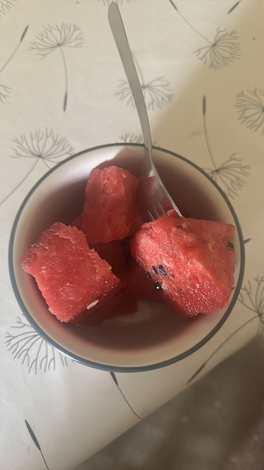 Watermelon Bowl