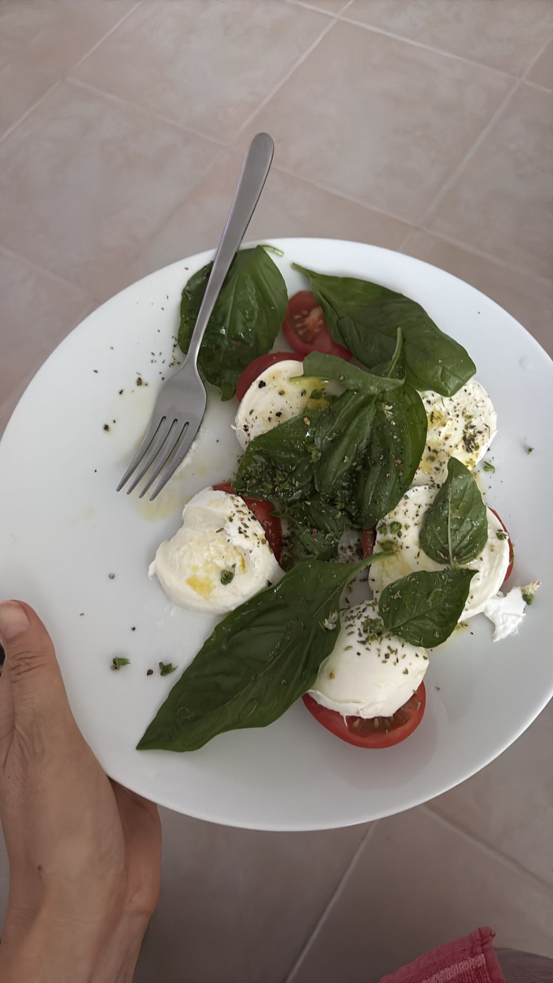 Caprese Salad
