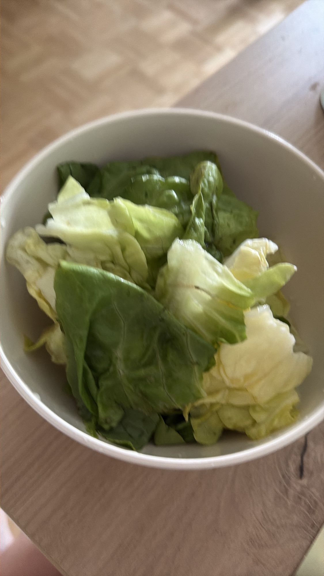 Grüner Blattsalat