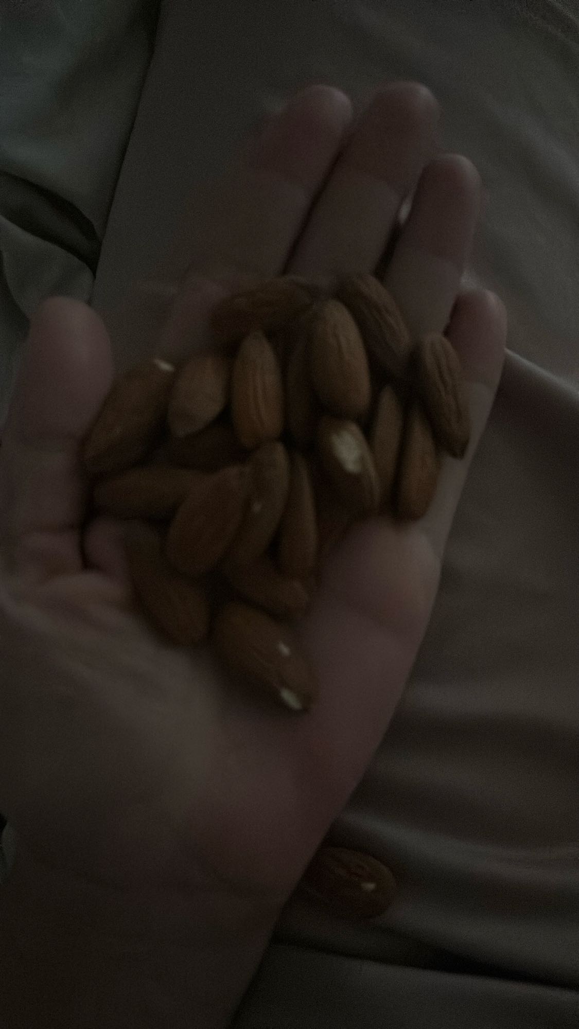 Handful of Almonds