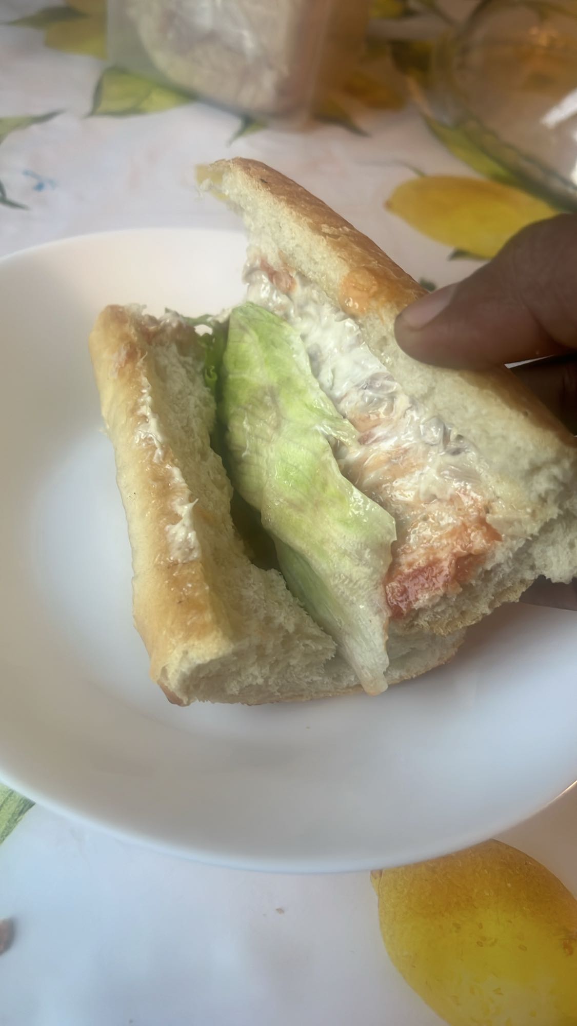 Creamy Chicken Sandwich