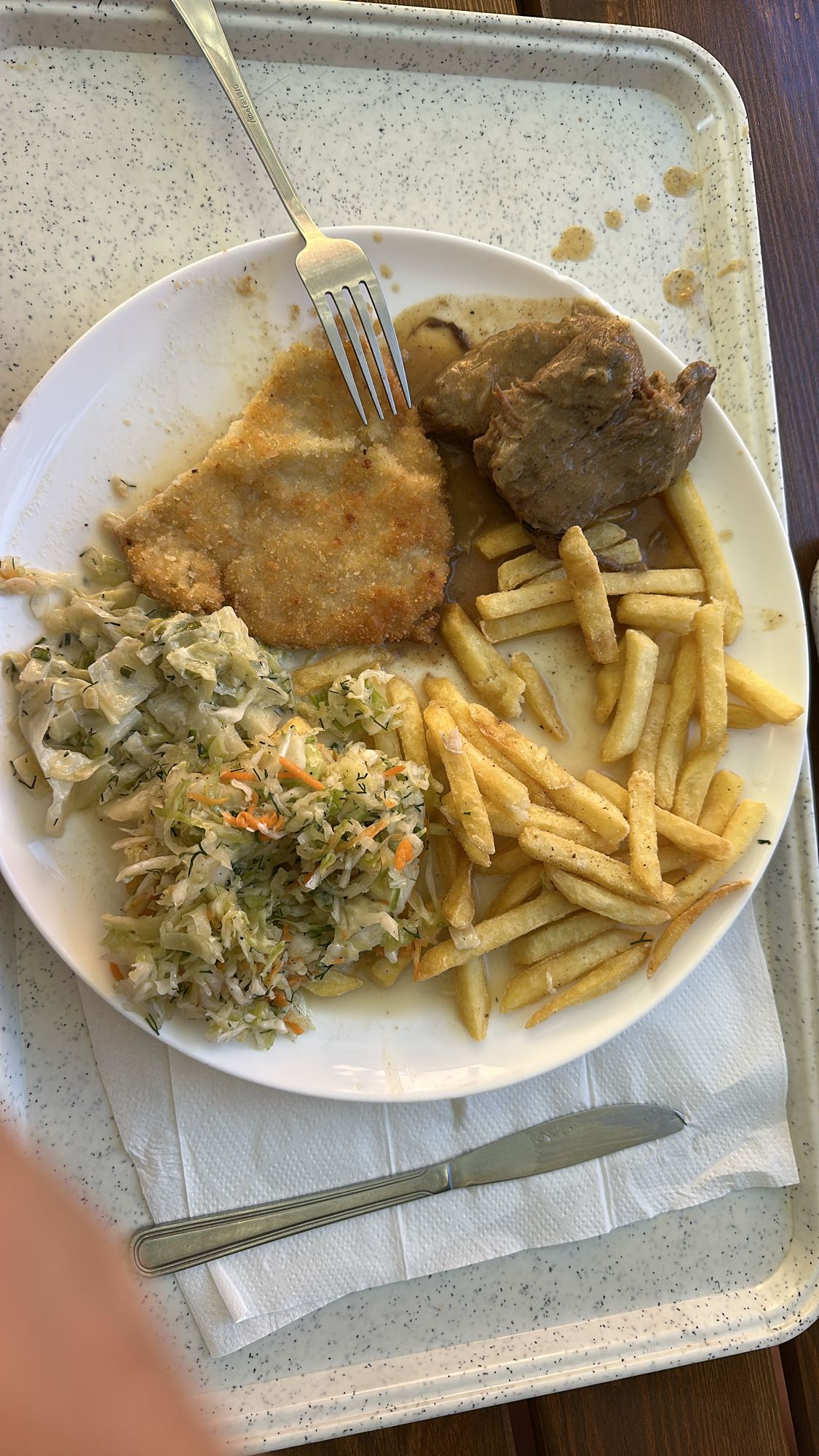 Kotlet z frytkami