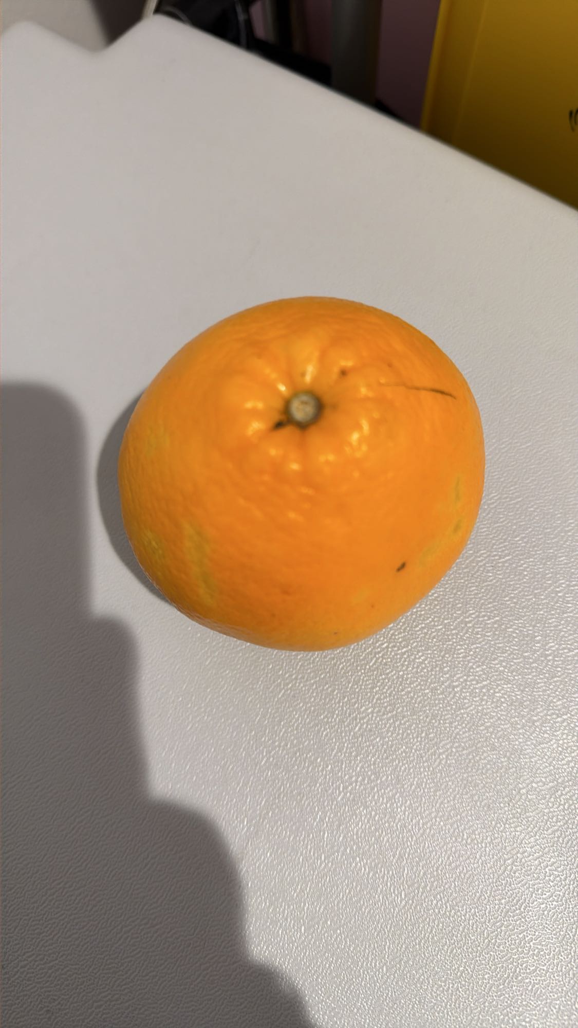 Sinaasappel