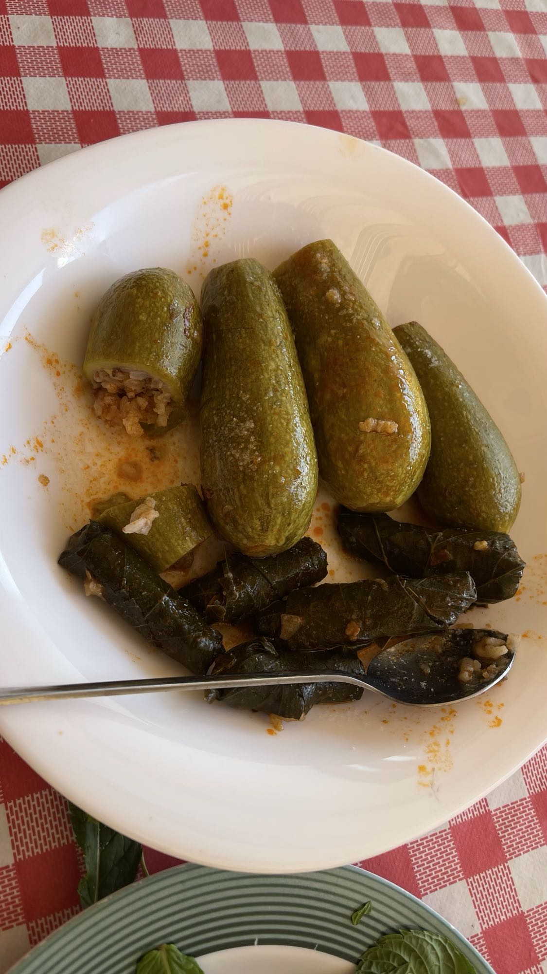 Stuffed Zucchini Leaves