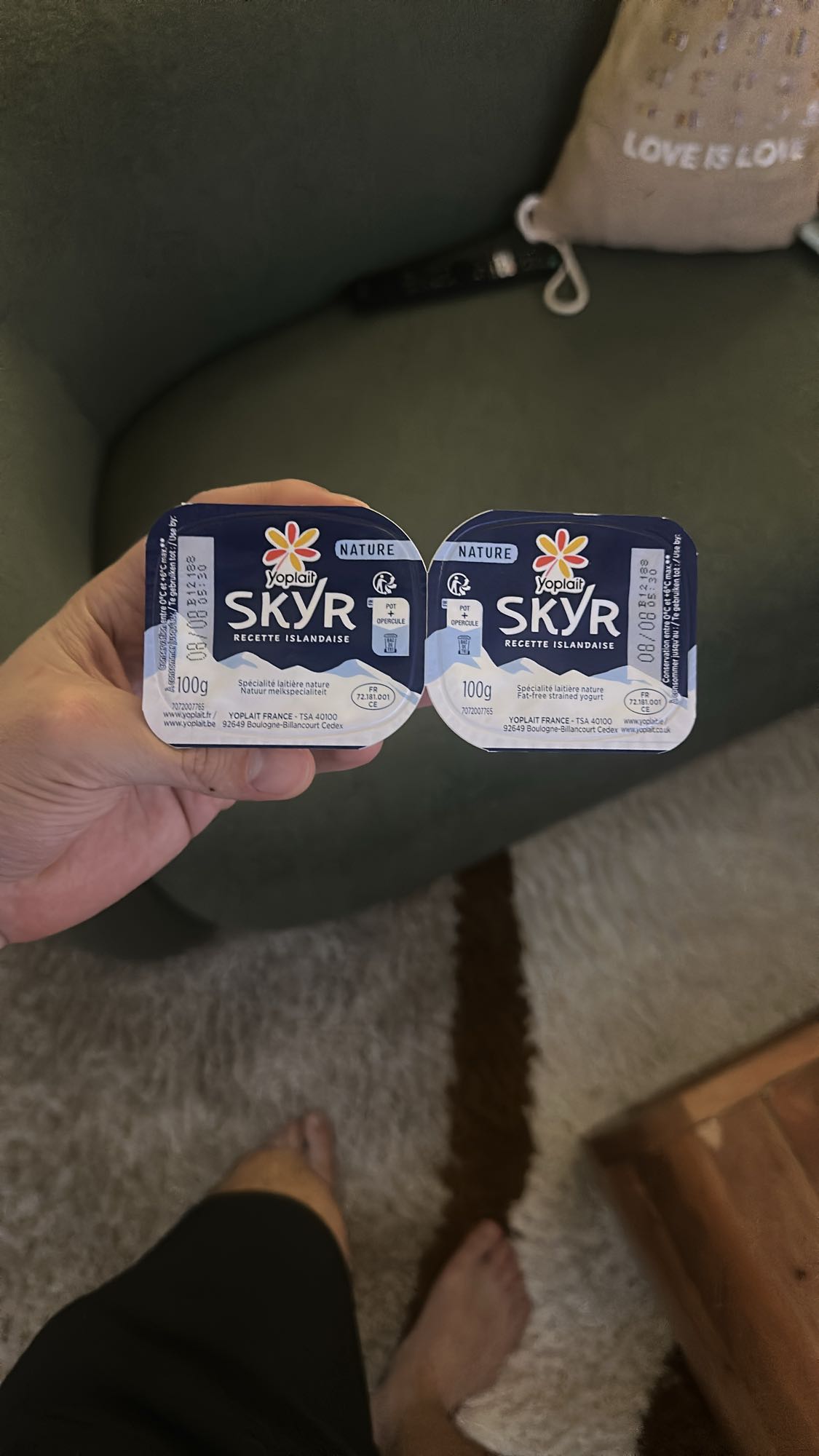 Deux skyrs nature