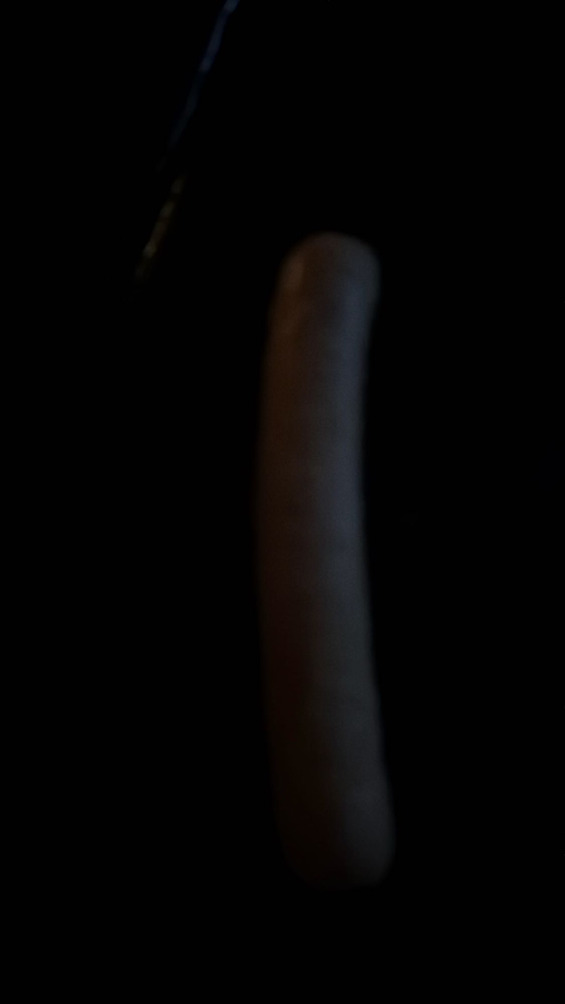 Korv