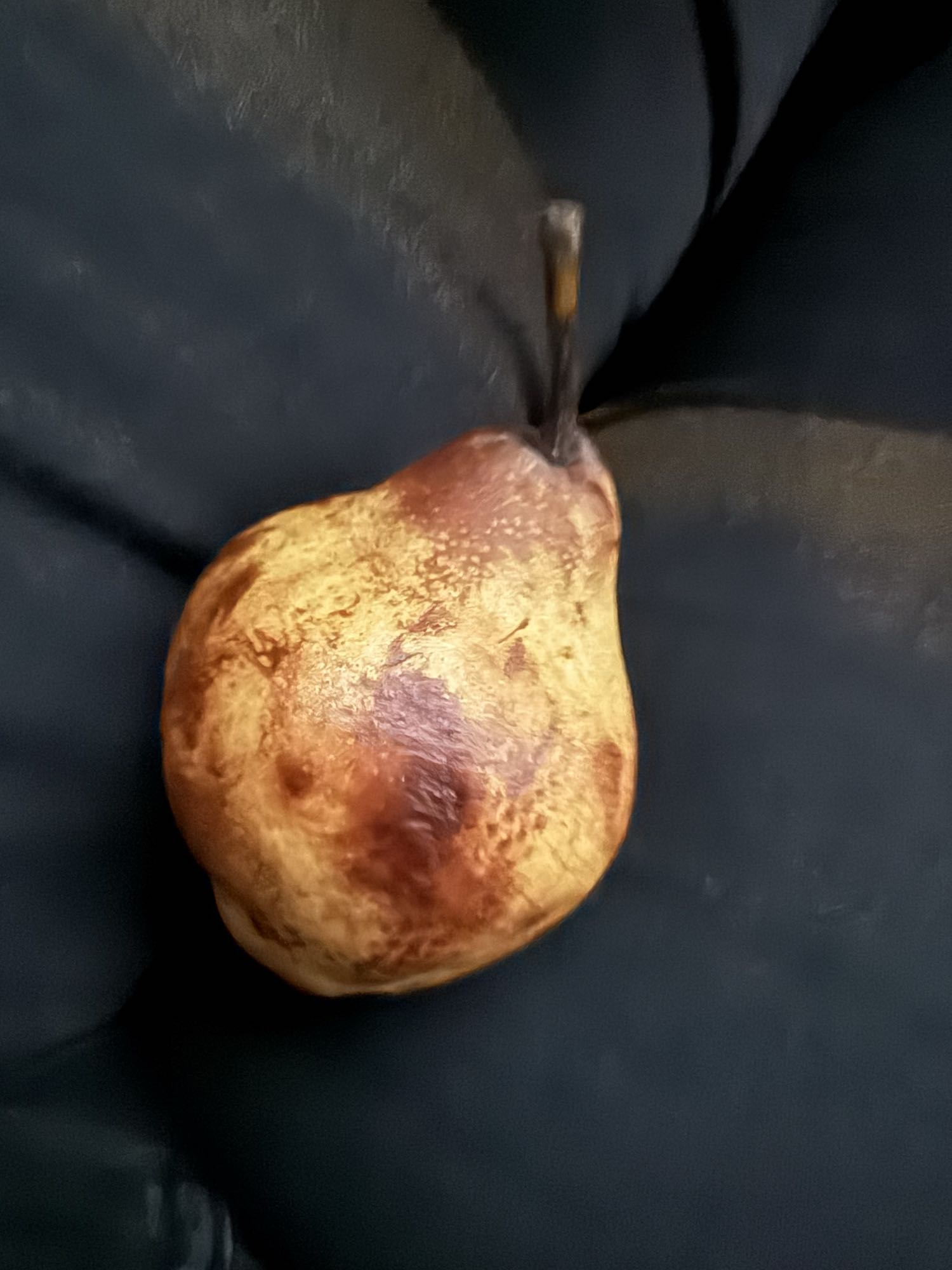 Pera