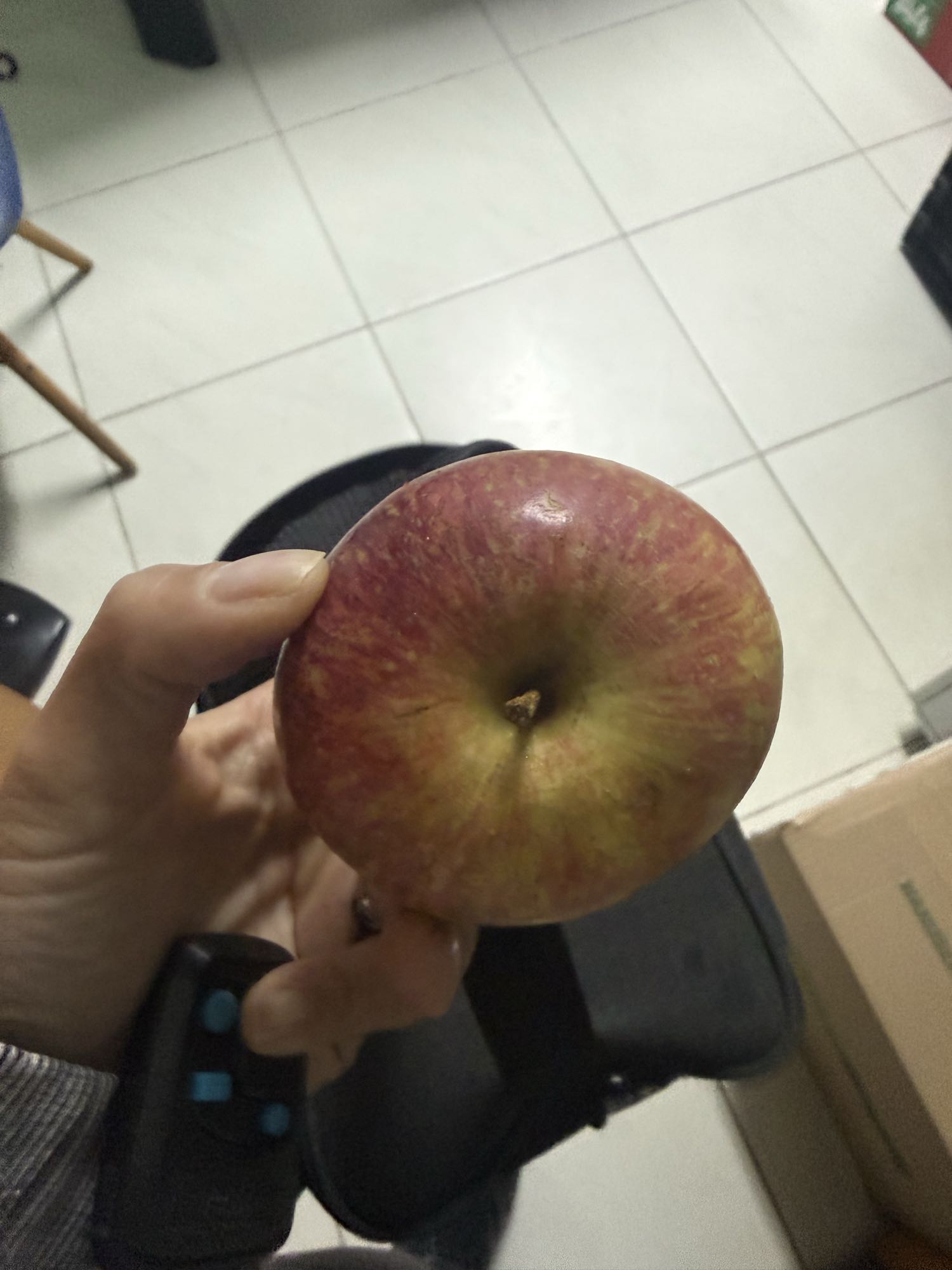 Maçã