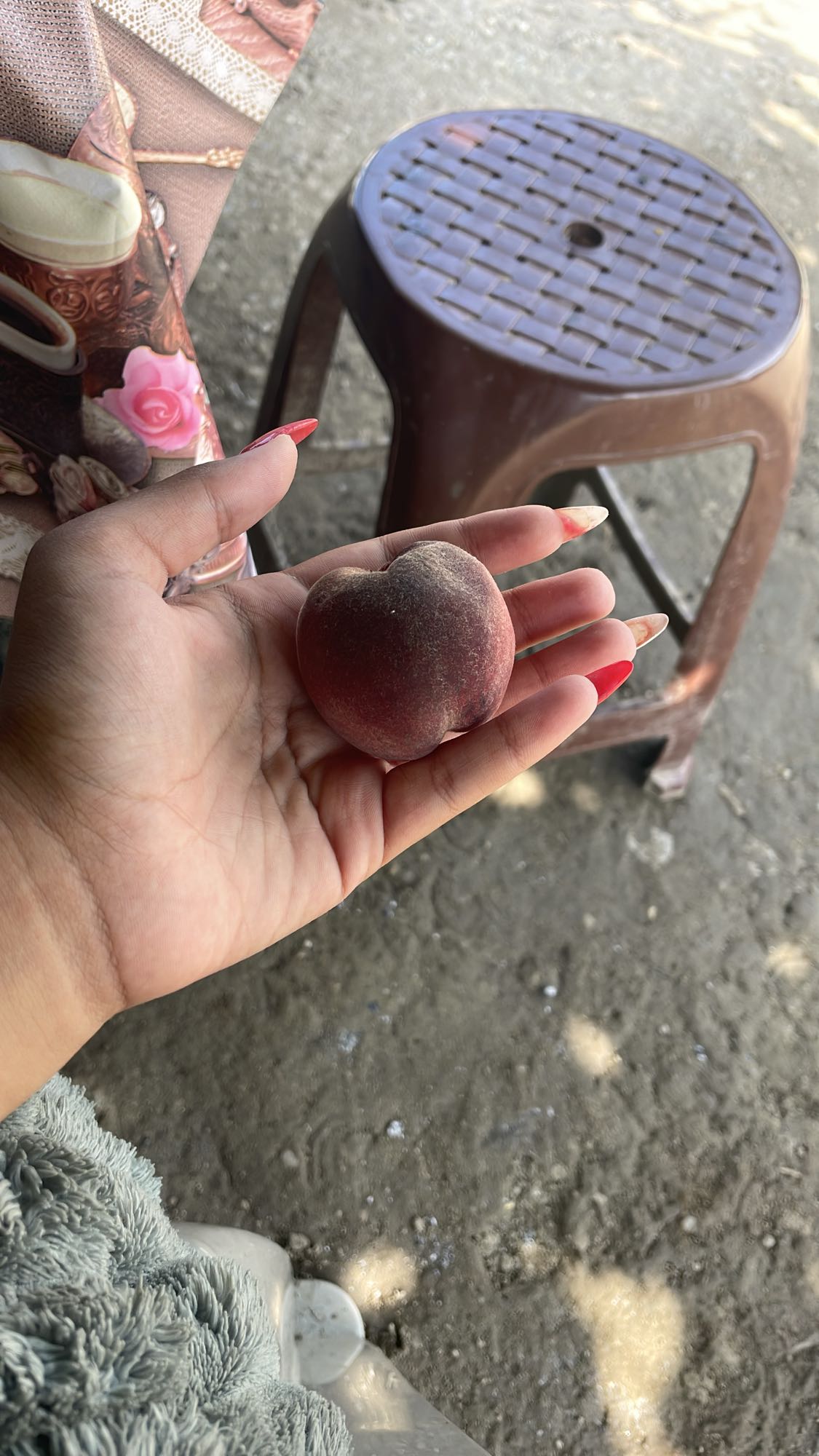 Piersică