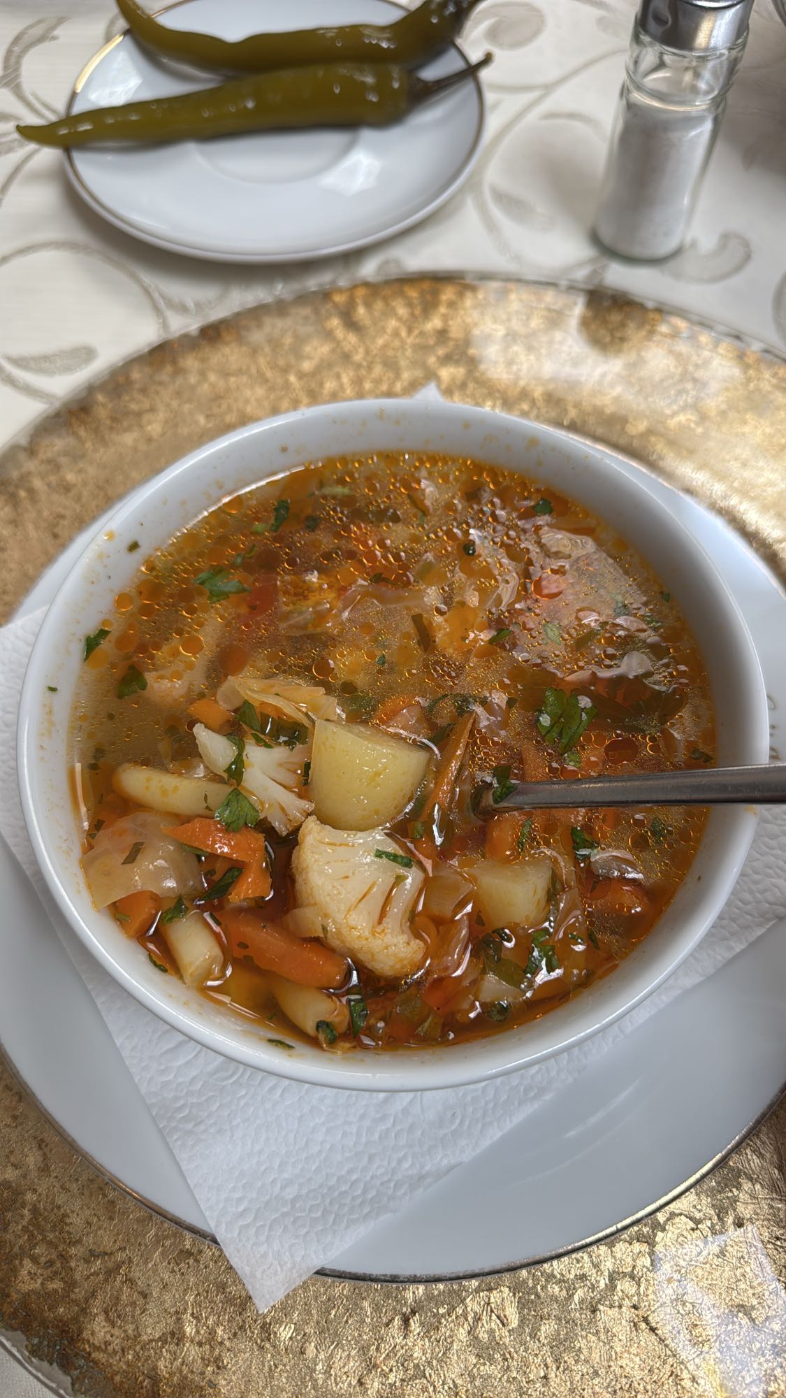 Vegetable Soup