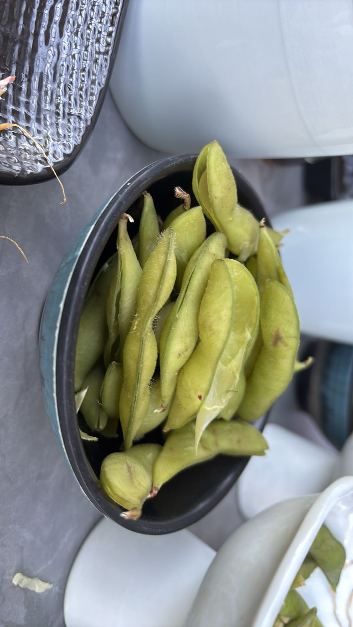 Edamame nature