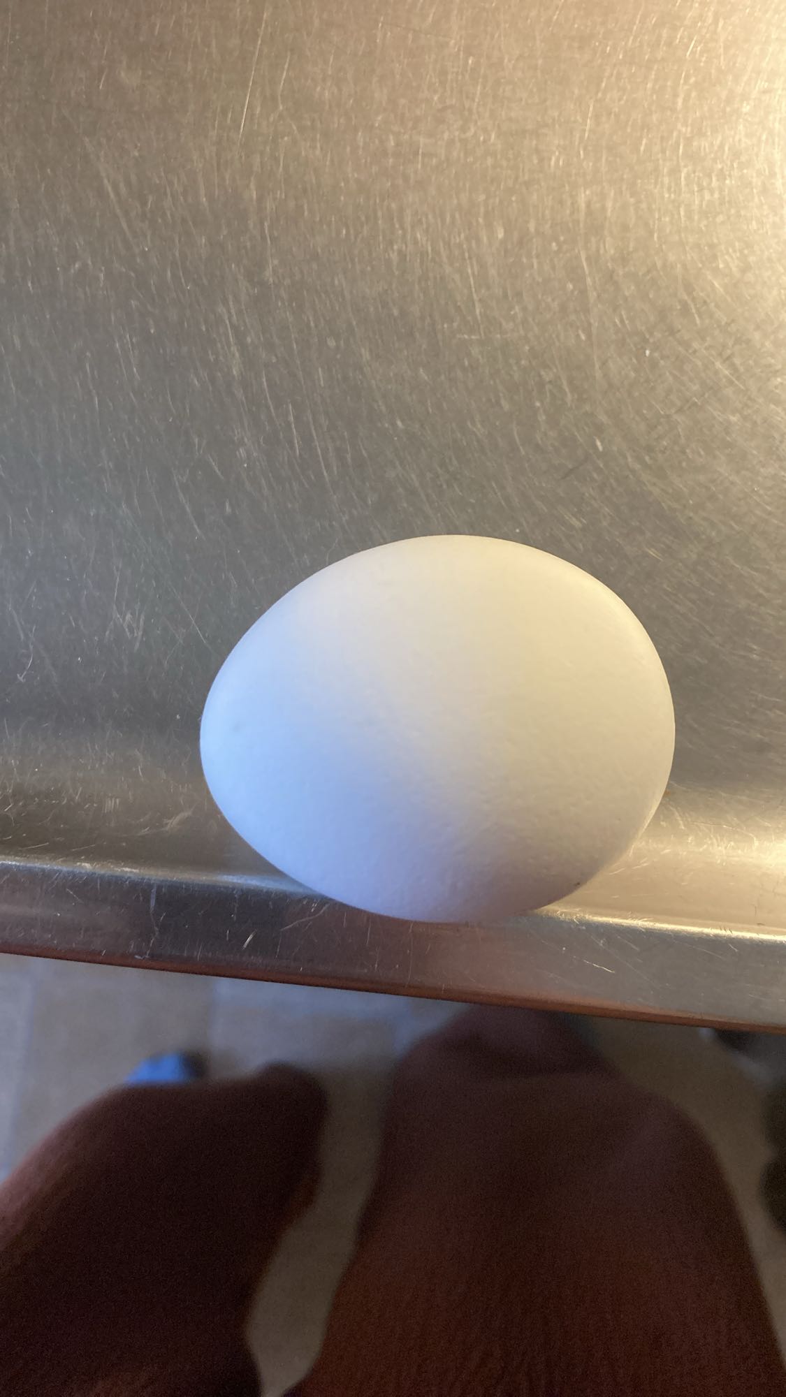 Vitt ägg