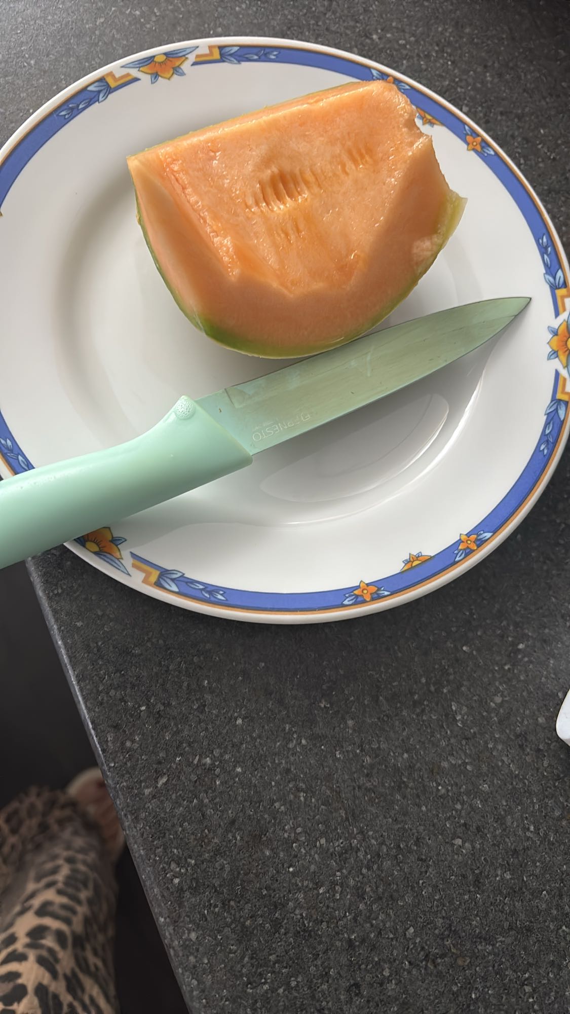 Tranche de melon