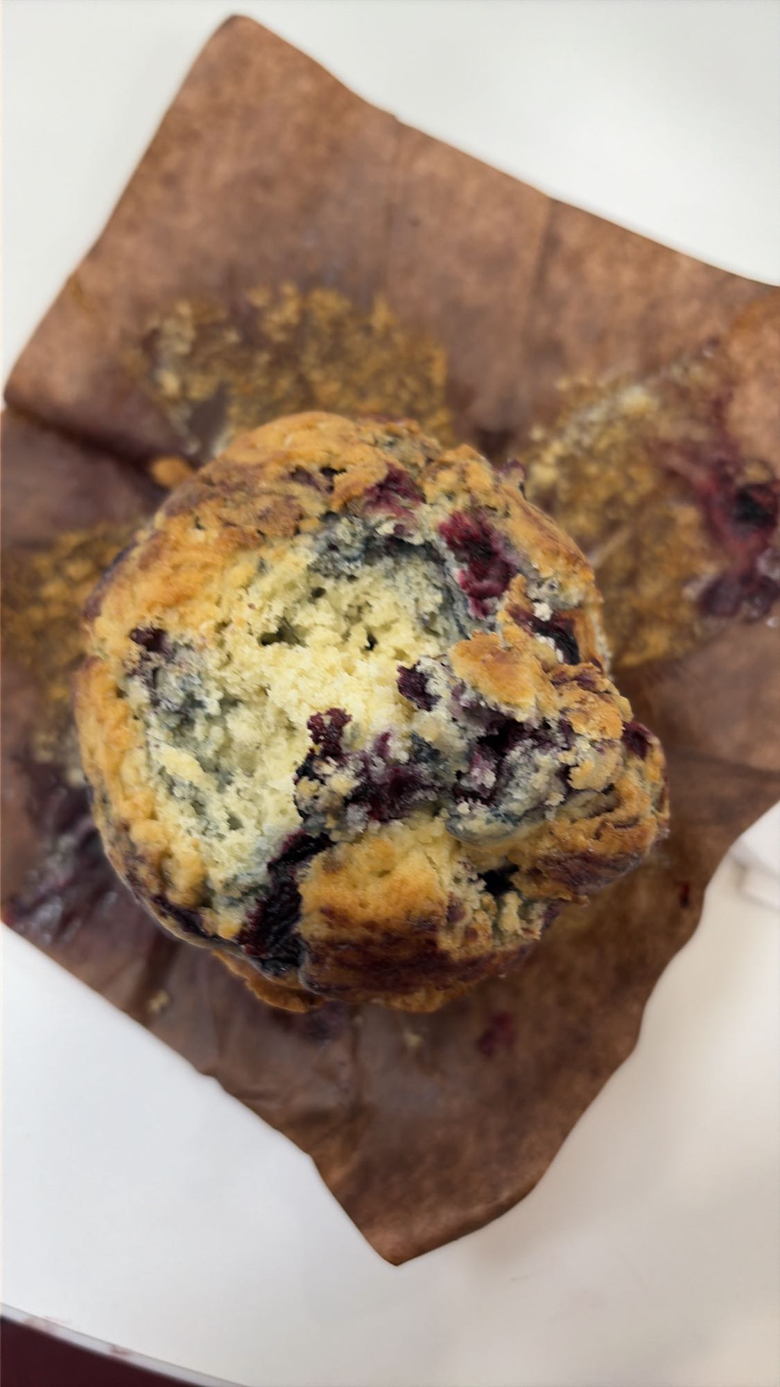 Blåbärsmuffins