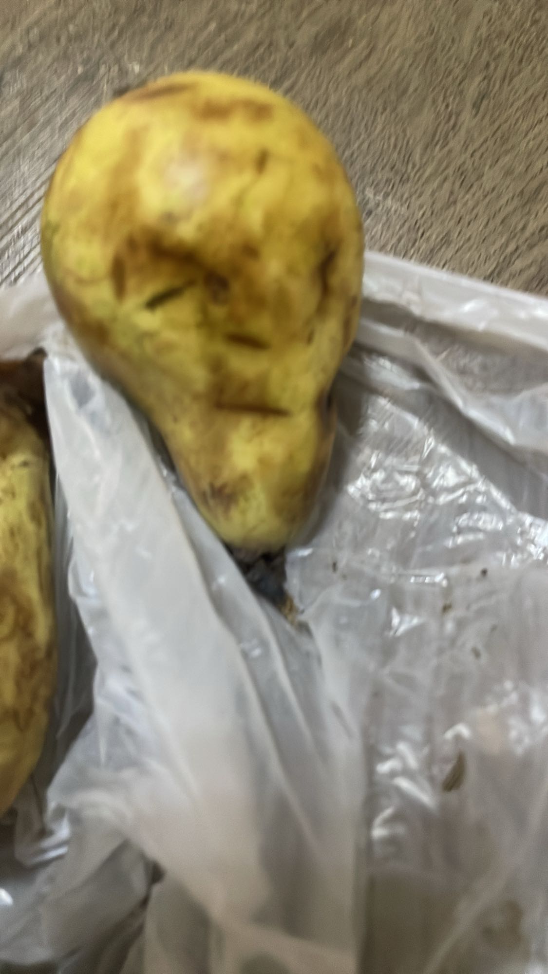 Pear