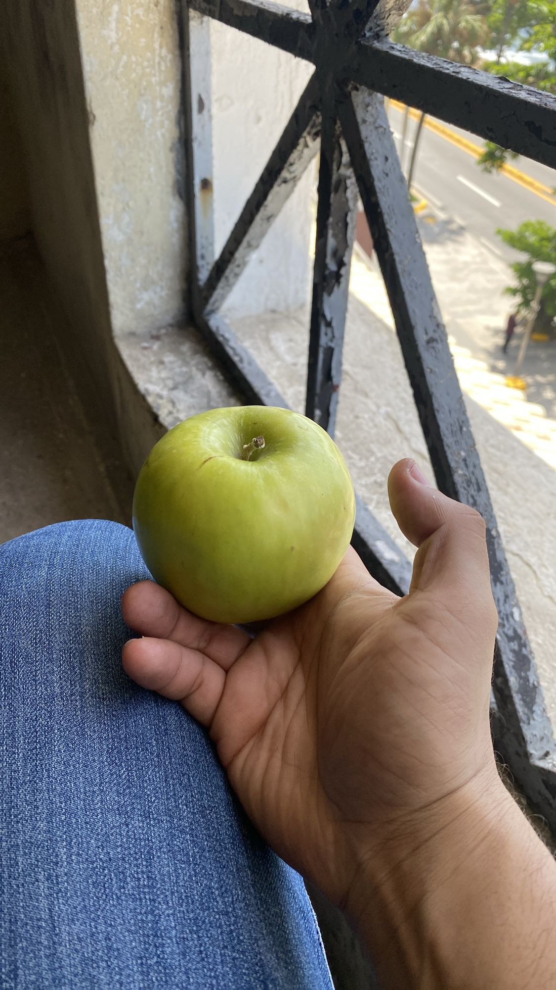 manzana verde