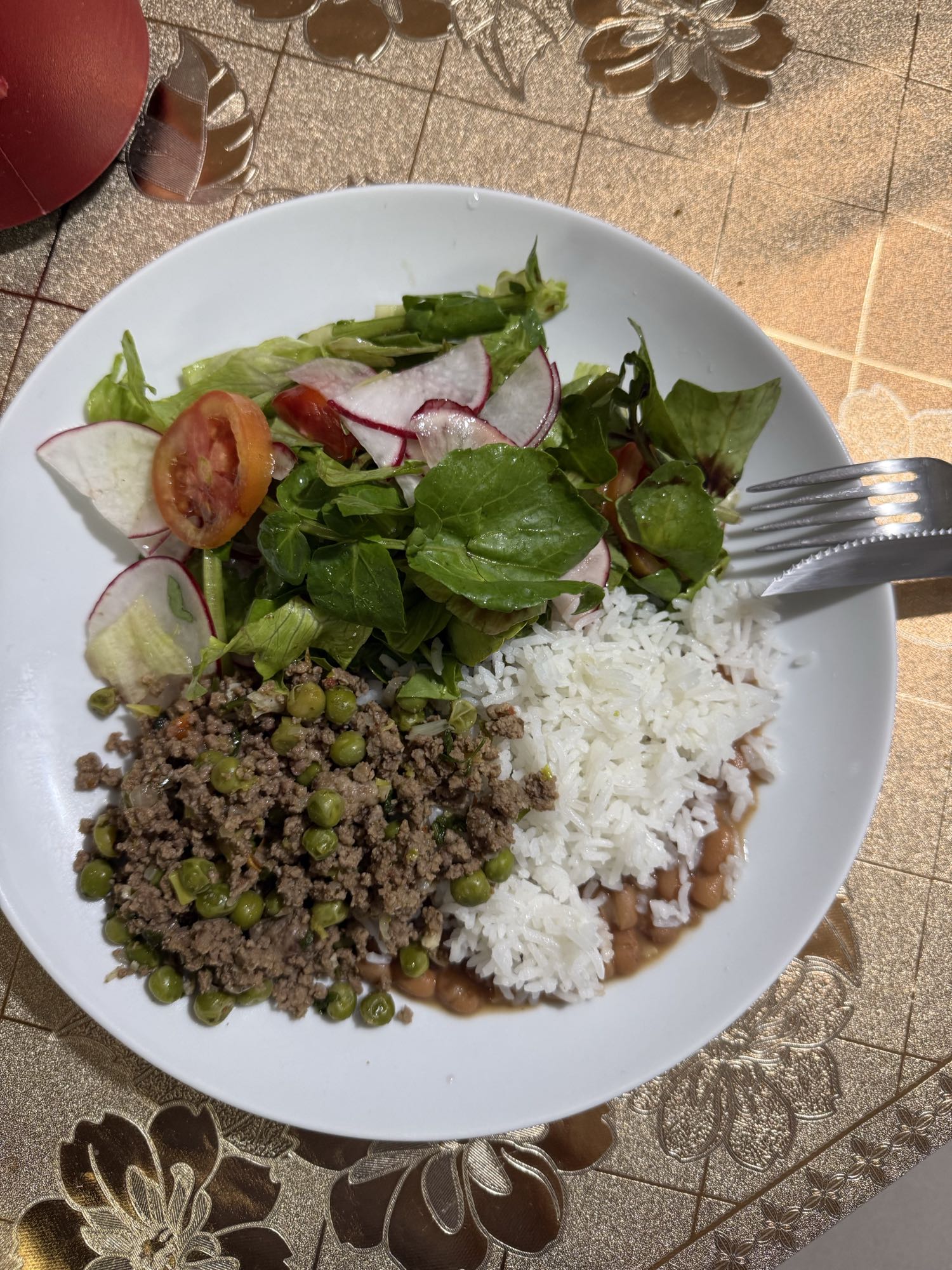 Arroz com carne e salada