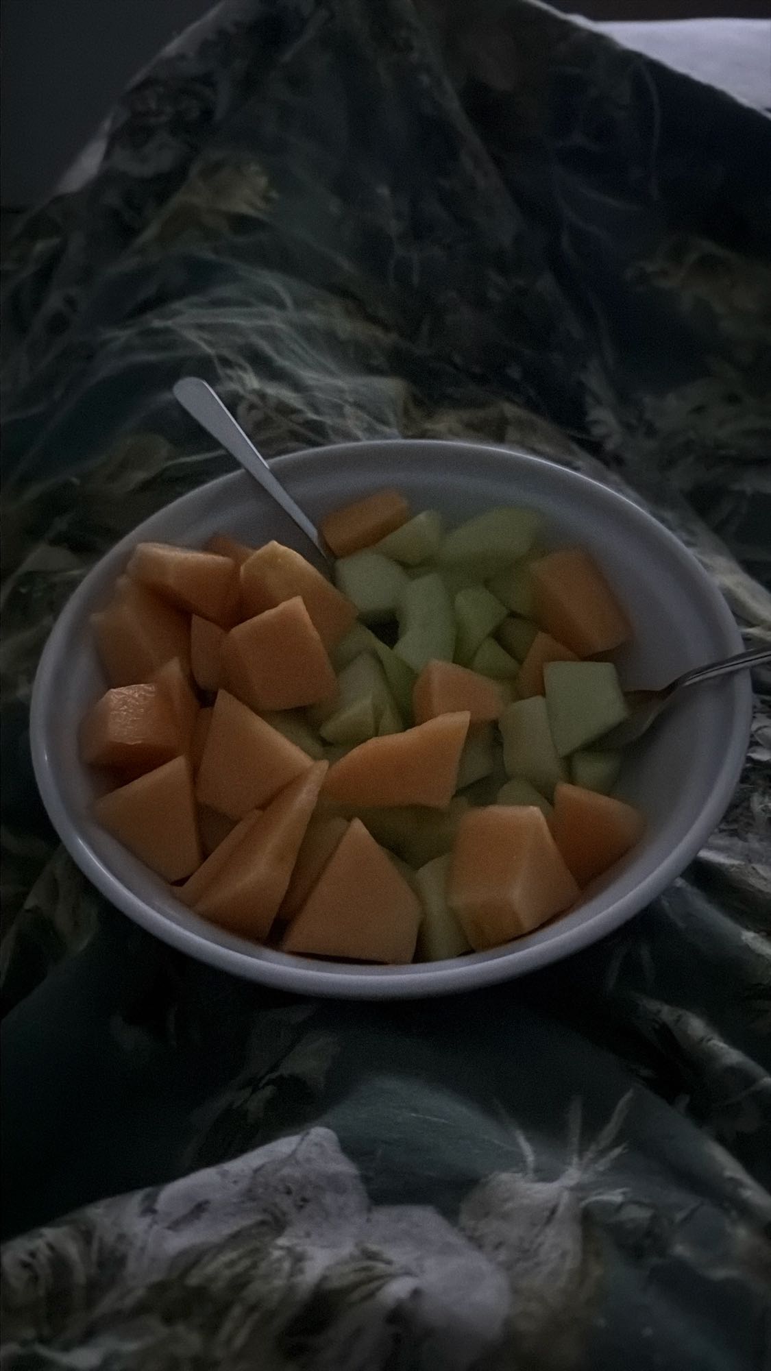 Melonenschale