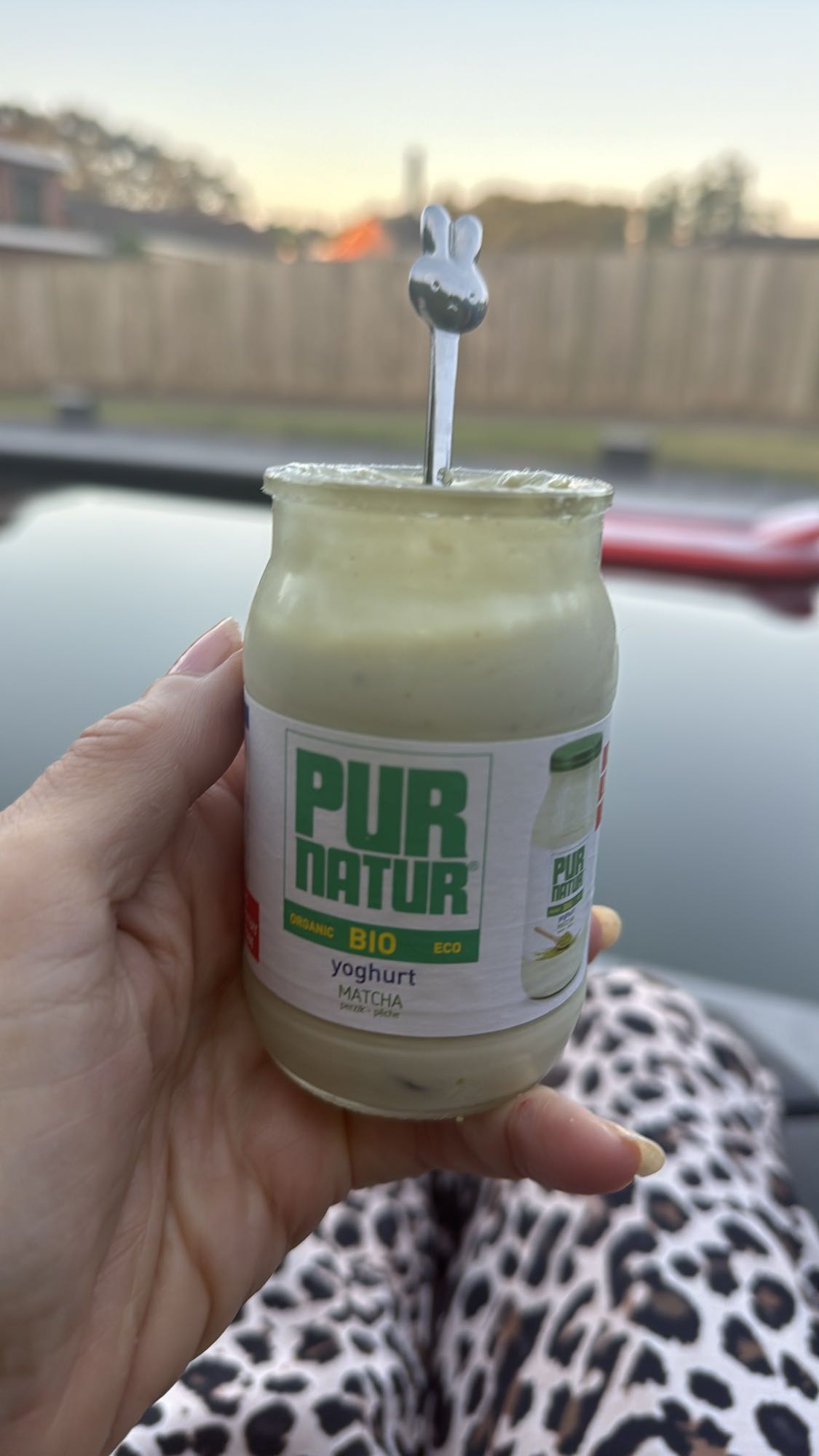 Matcha yoghurt