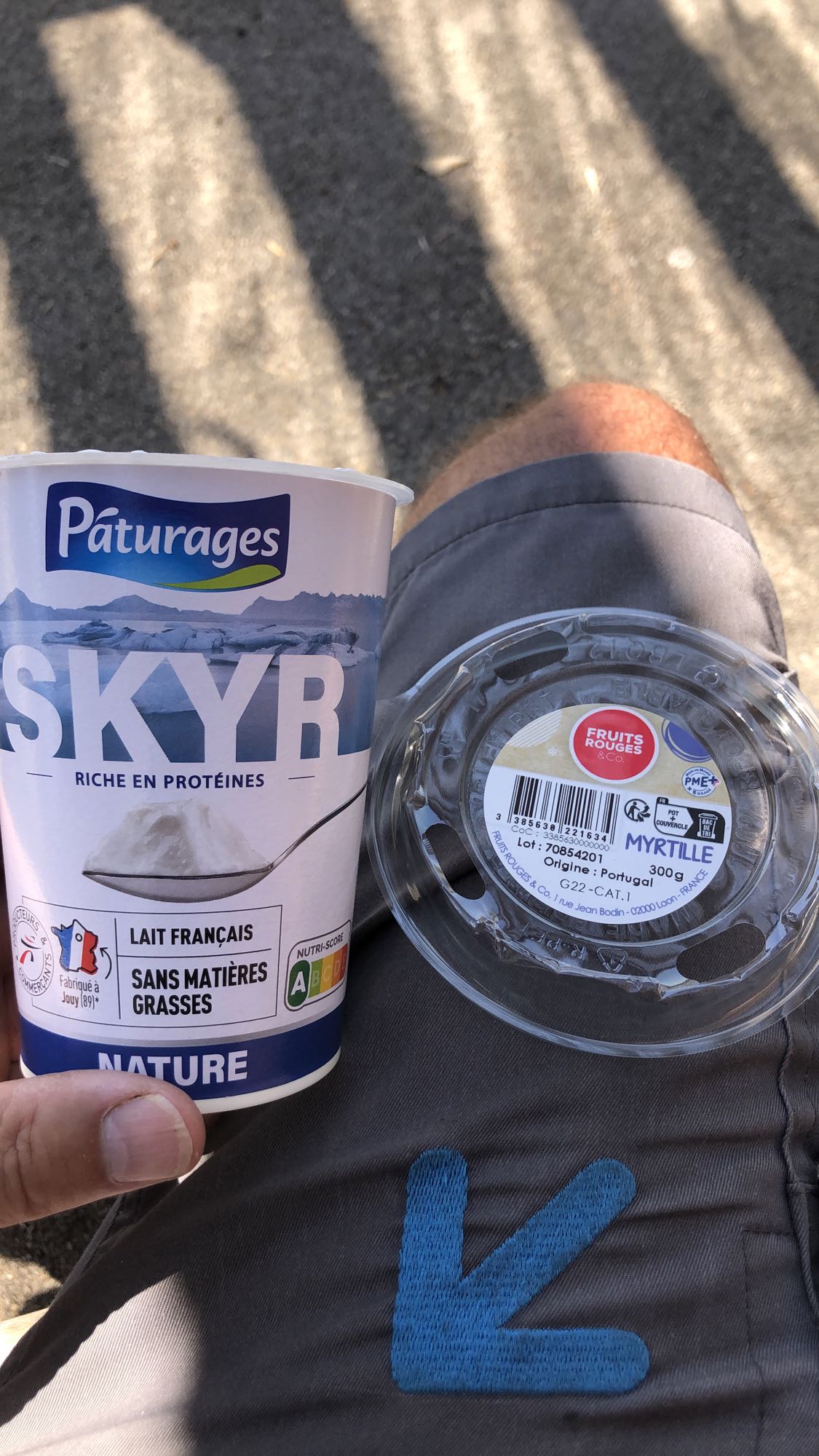 Skyr et myrtilles